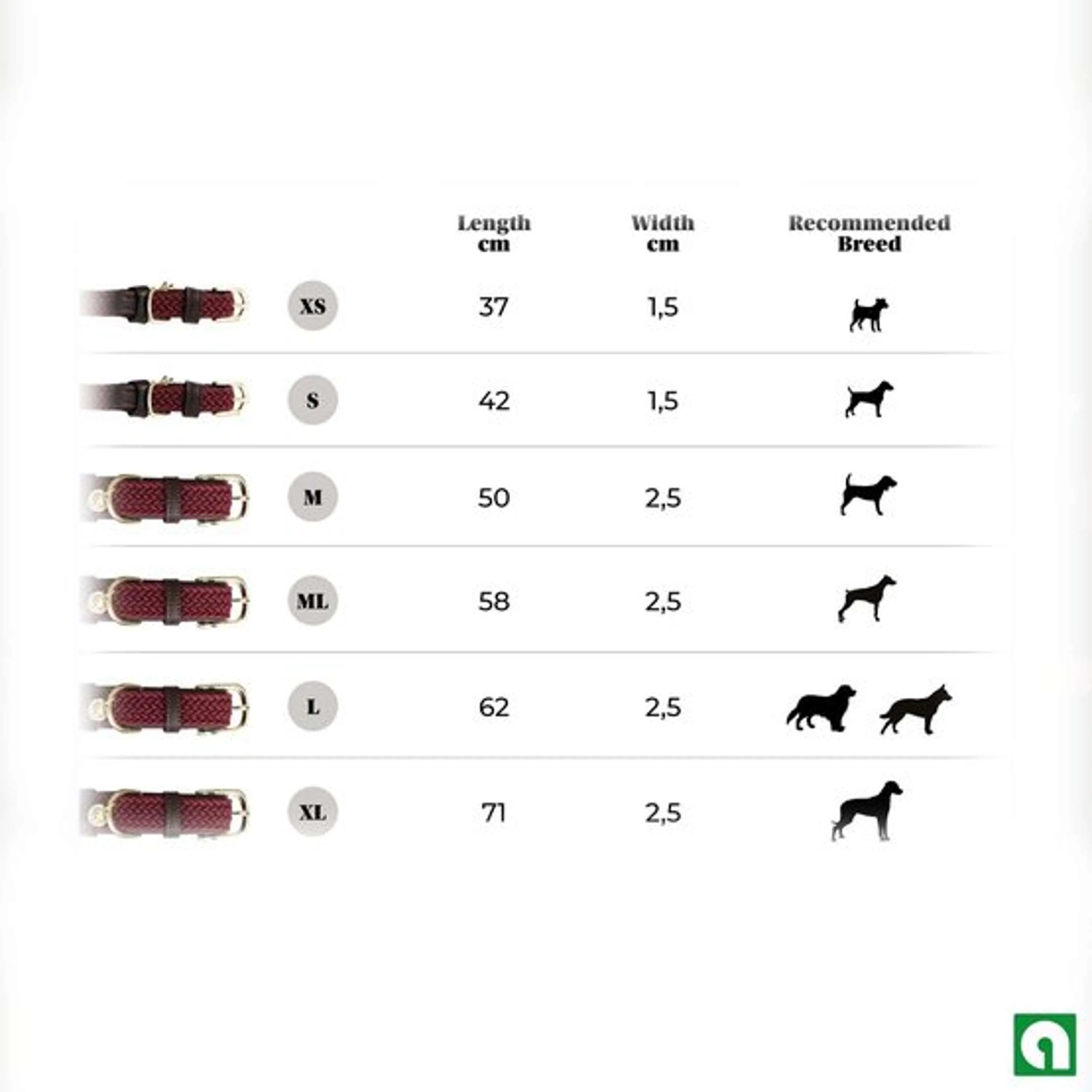 Kentucky Horsewear Halsband Nylon intrecciato per cani Bordeaux - Image 5