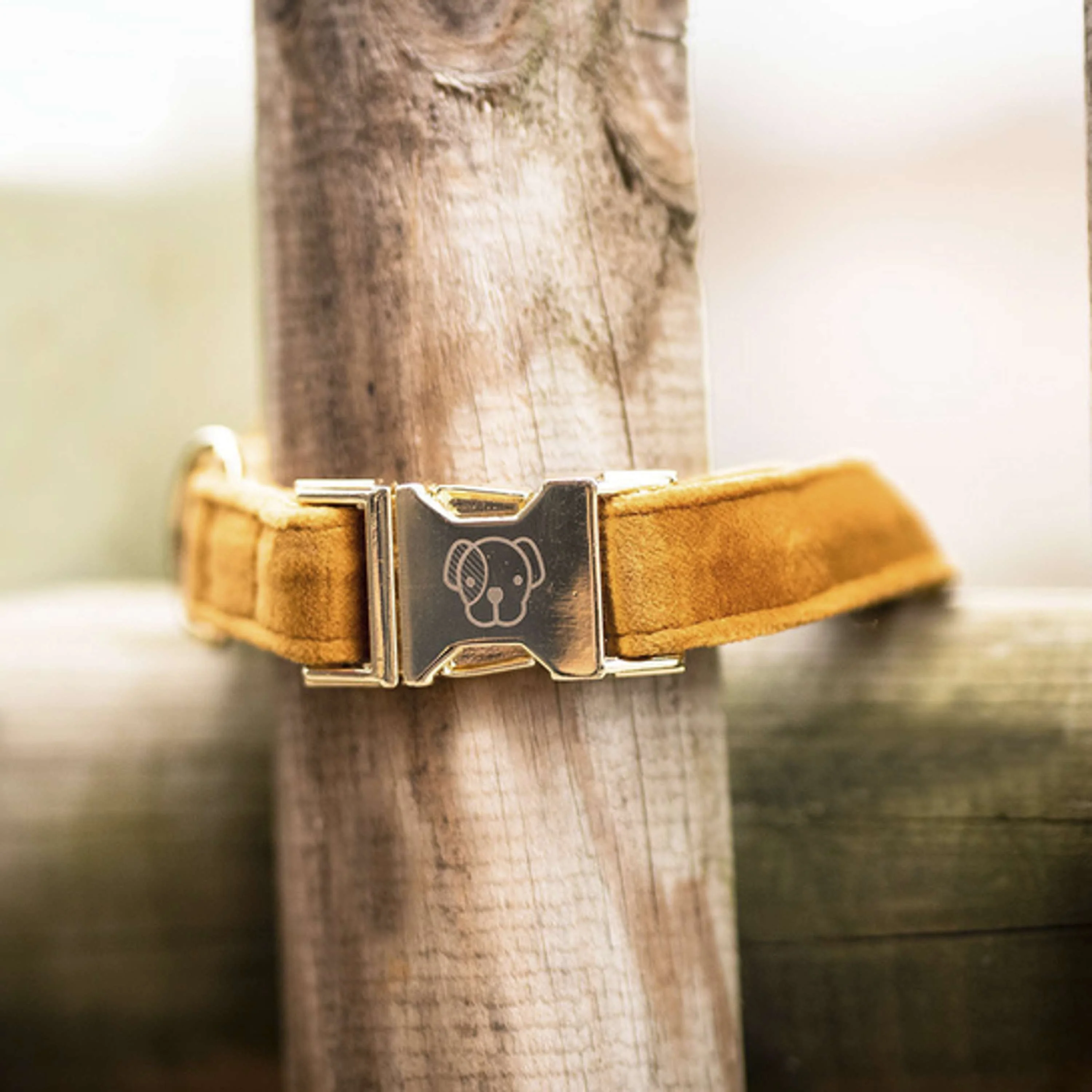 Kentucky Dogwear Halsband Velvet Senape - Image 3