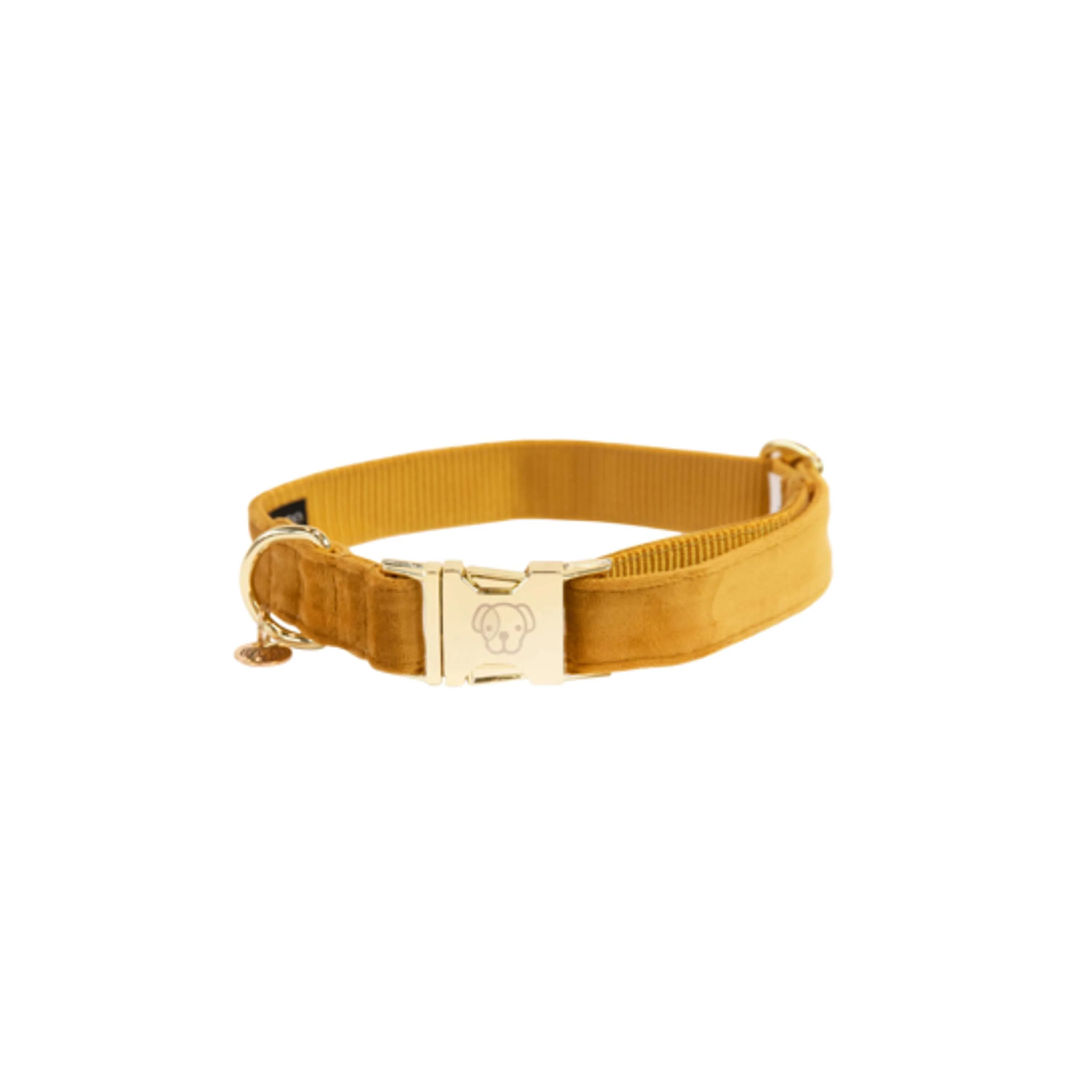 Kentucky Dogwear Halsband Velvet Senape - Image 4