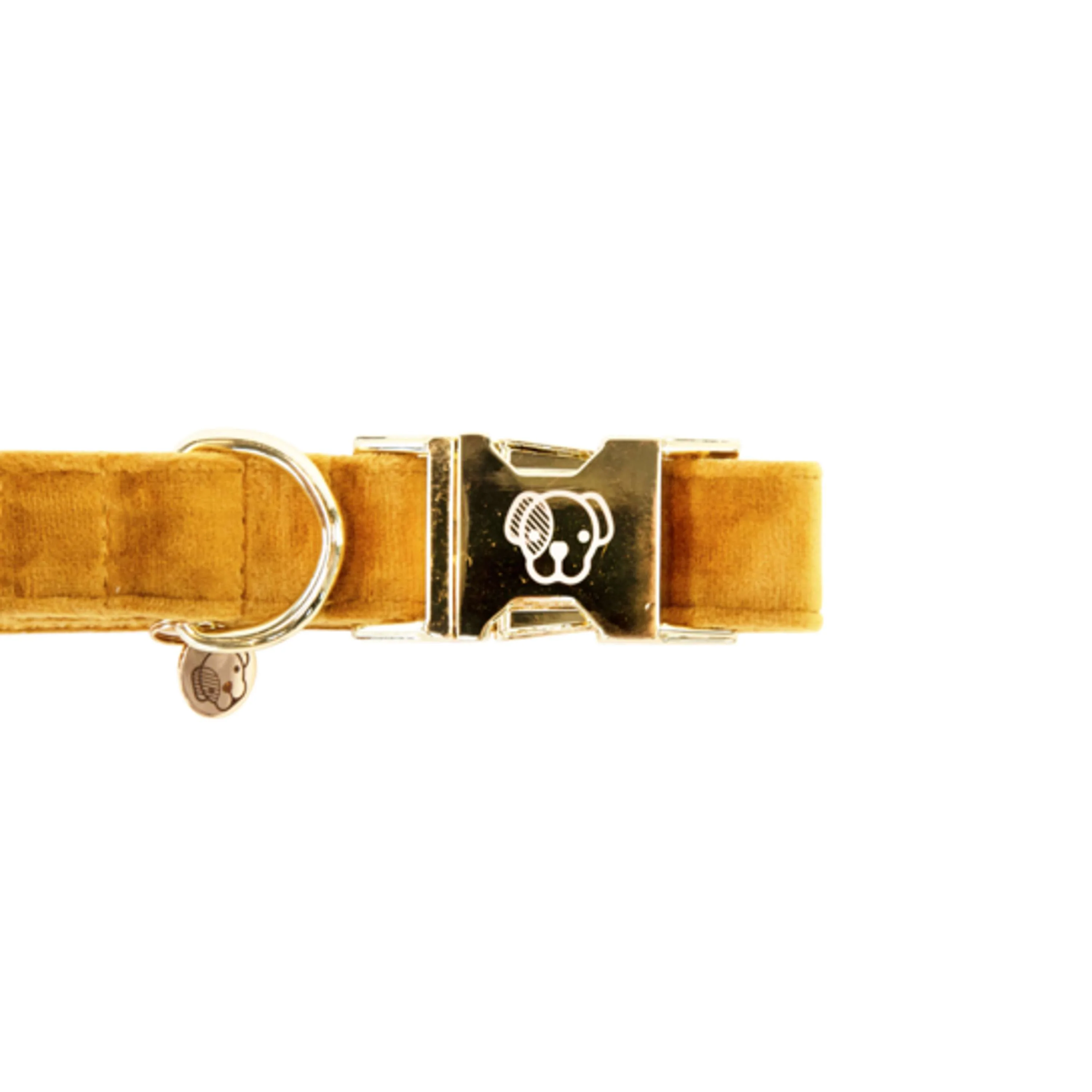 Kentucky Dogwear Halsband Velvet Senape - Image 5