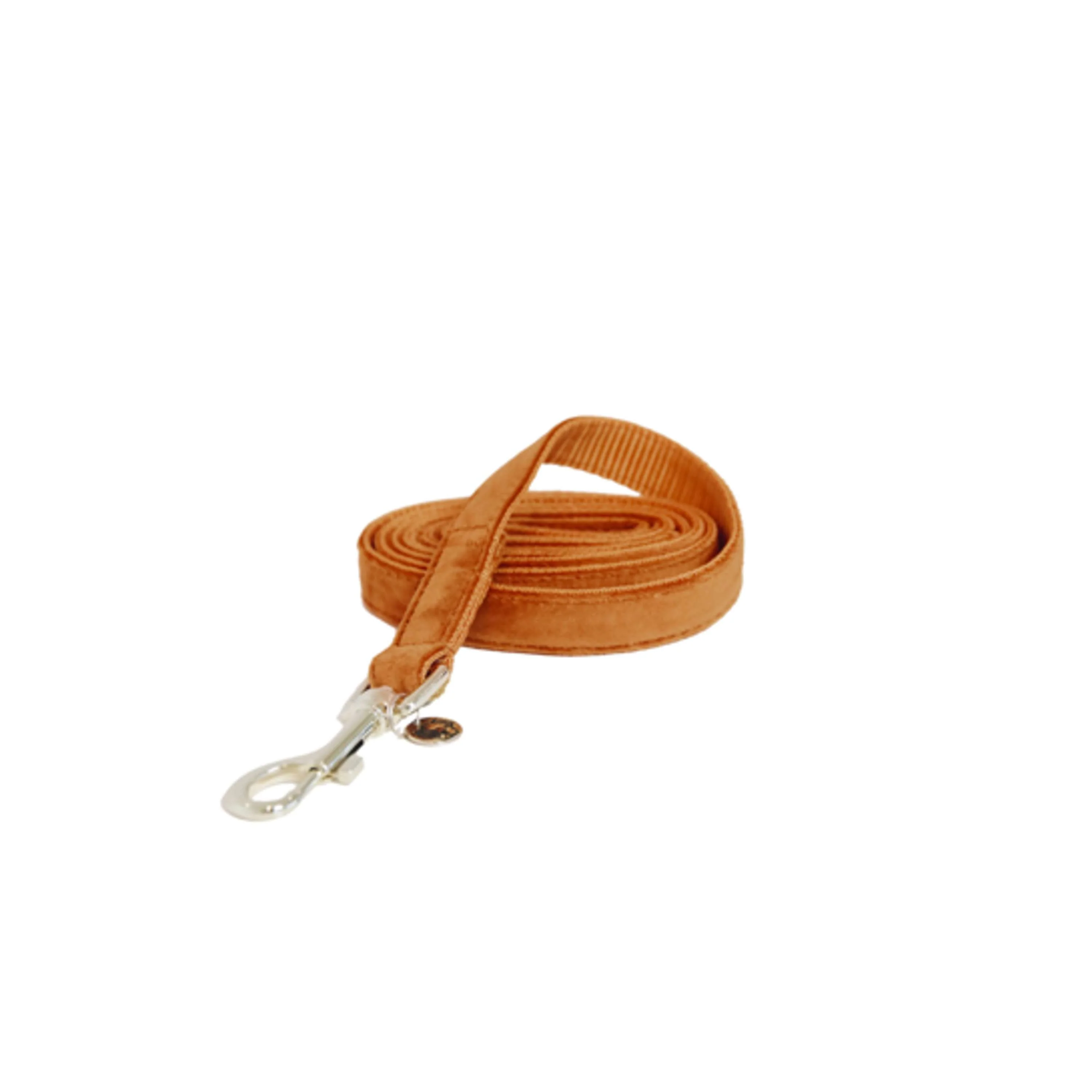 Kentucky Dogwear Guinzaglio per Cane Velvet Arancia - Image 3
