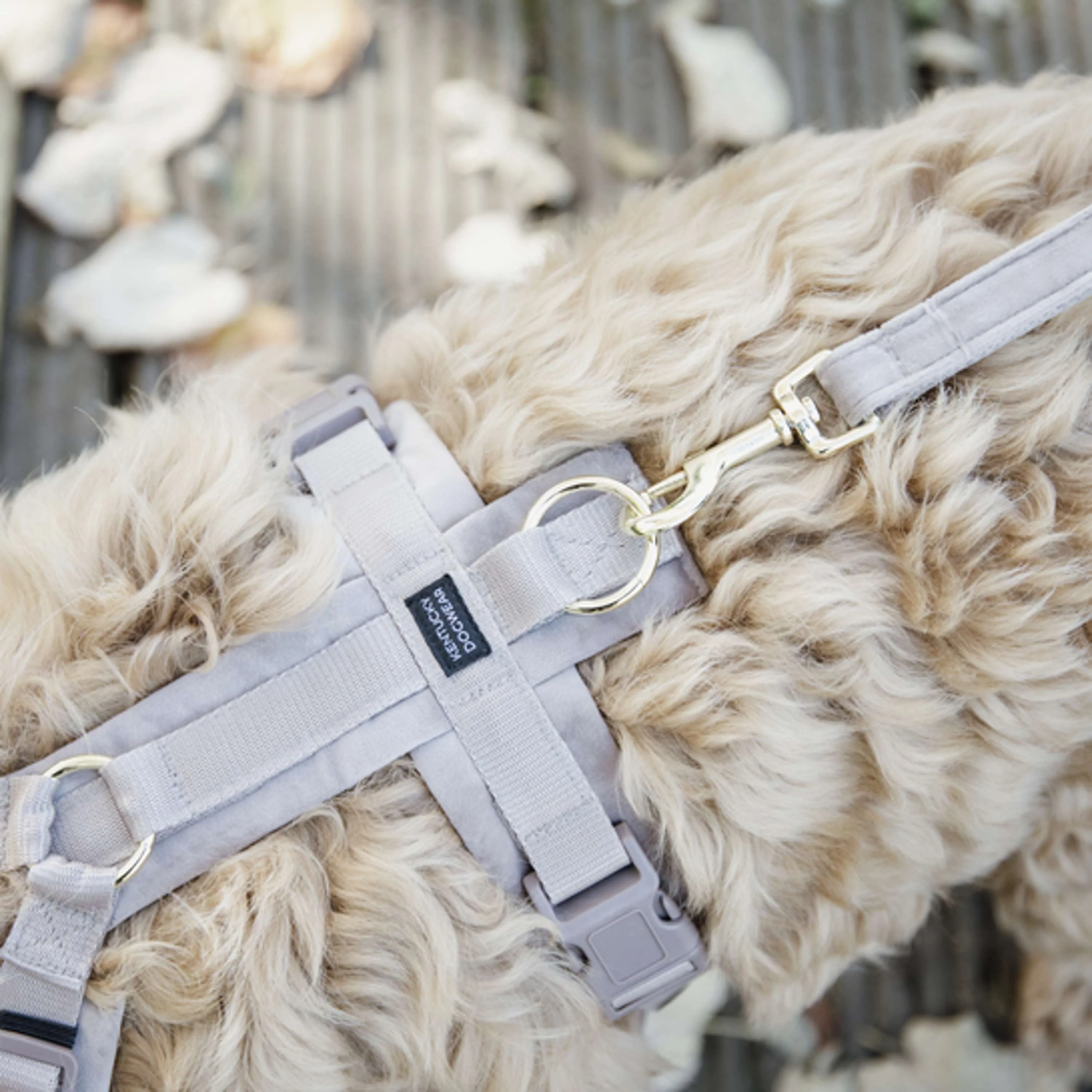 Kentucky Dogwear Guinzaglio per Cane Velvet Beige - Image 3