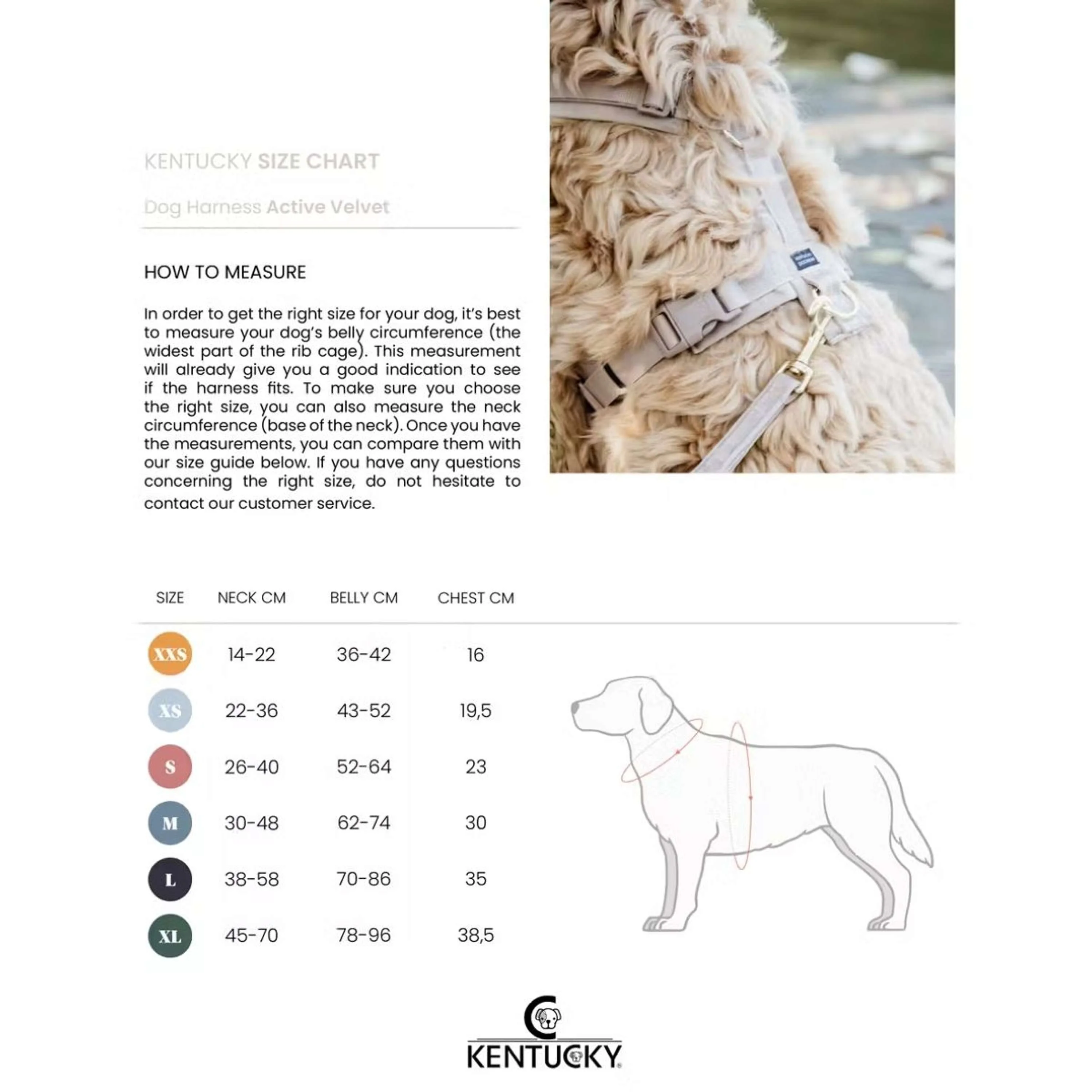 Kentucky Dogwear Imbracatura Active Velvet Bordeaux - Image 8