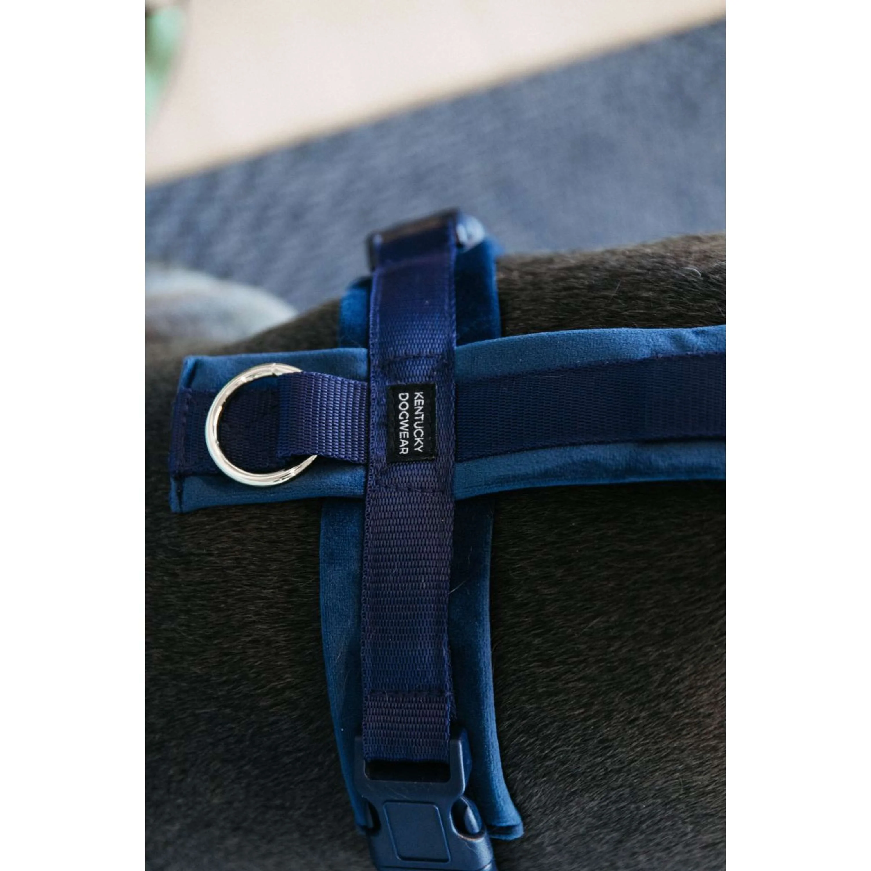 Kentucky Dogwear Imbracatura Active Velvet Navy - Image 3