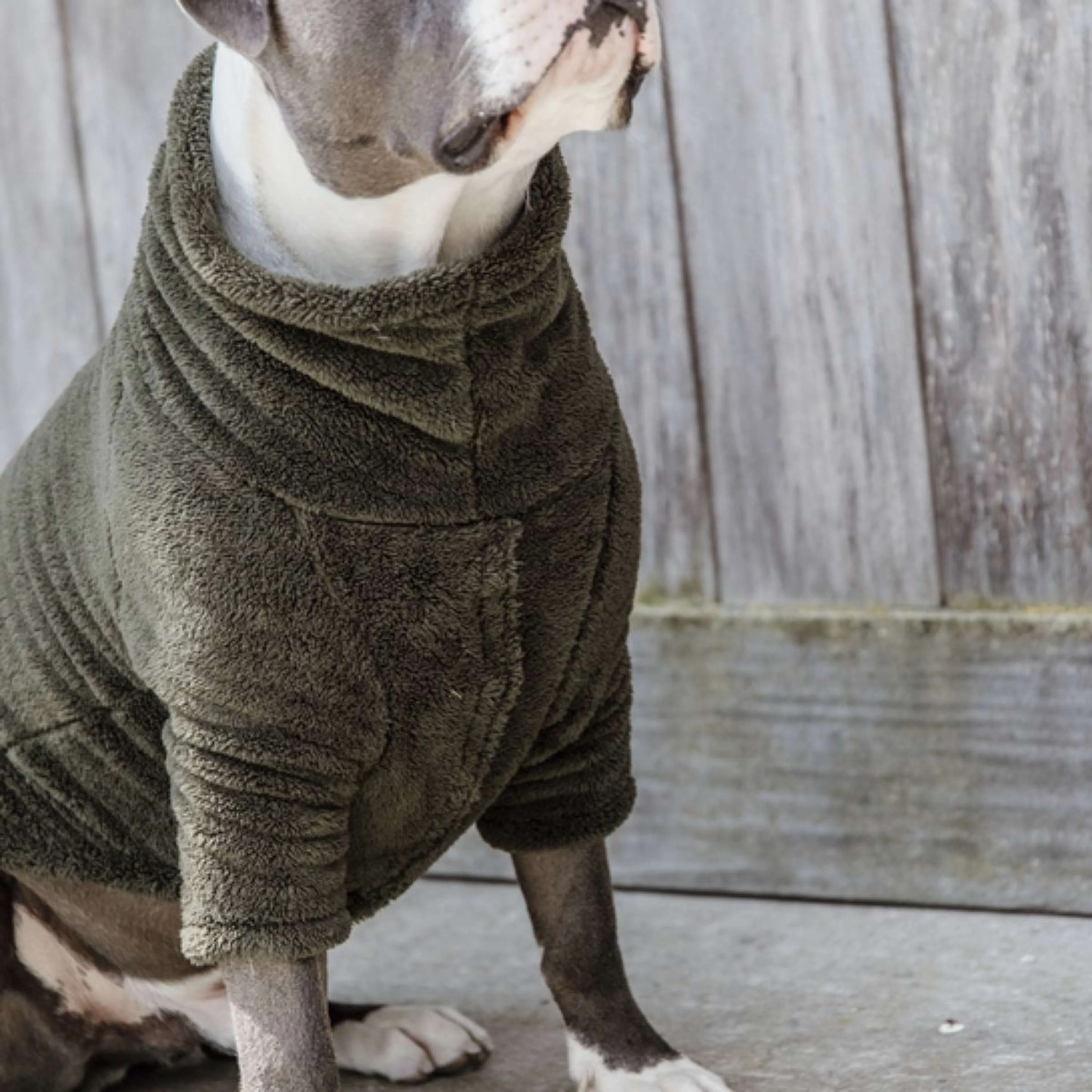 Kentucky Dogwear Maglione per cani Teddy Fleece Pine Green - Image 2