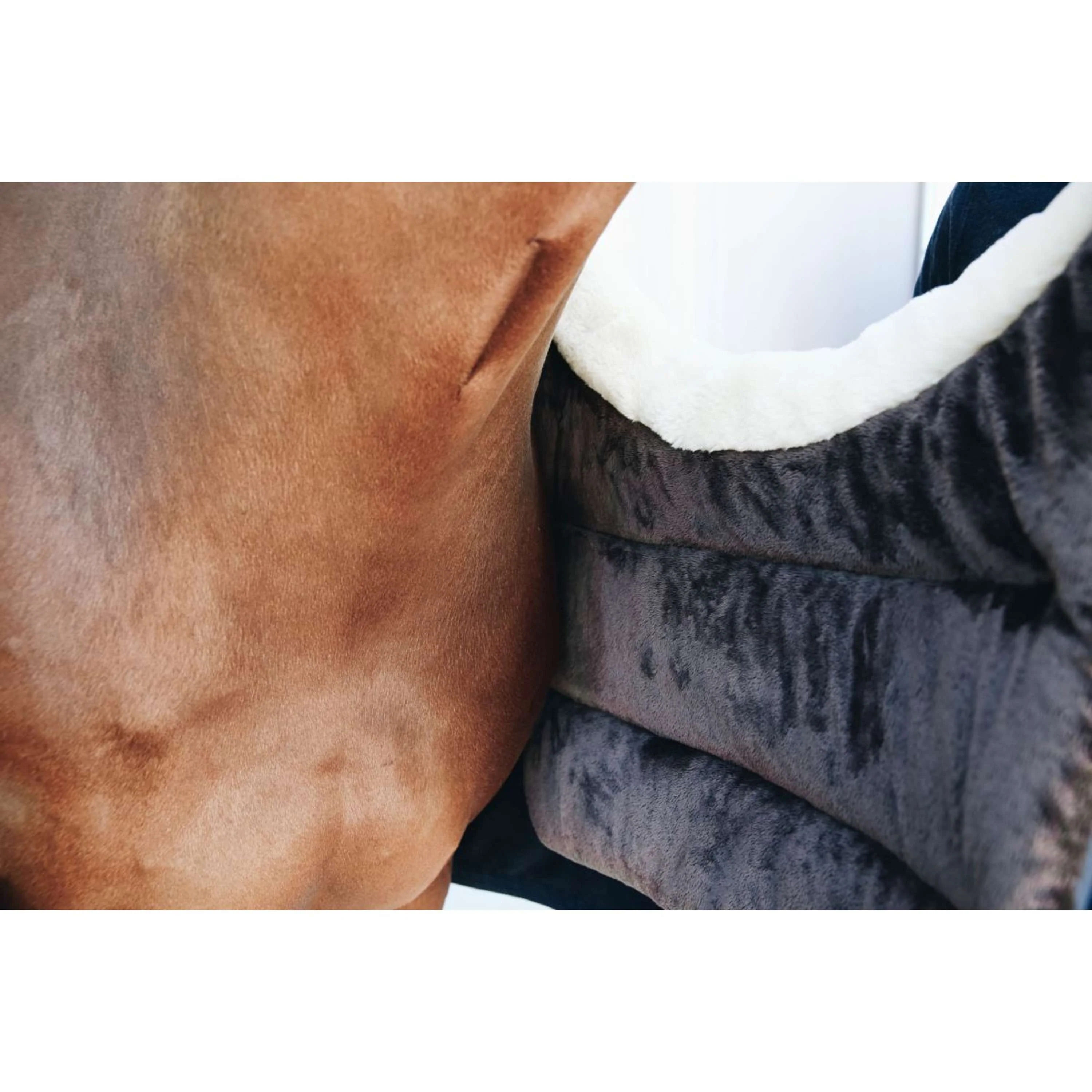 Kentucky Horsewear Bib Winter Navy - Image 3