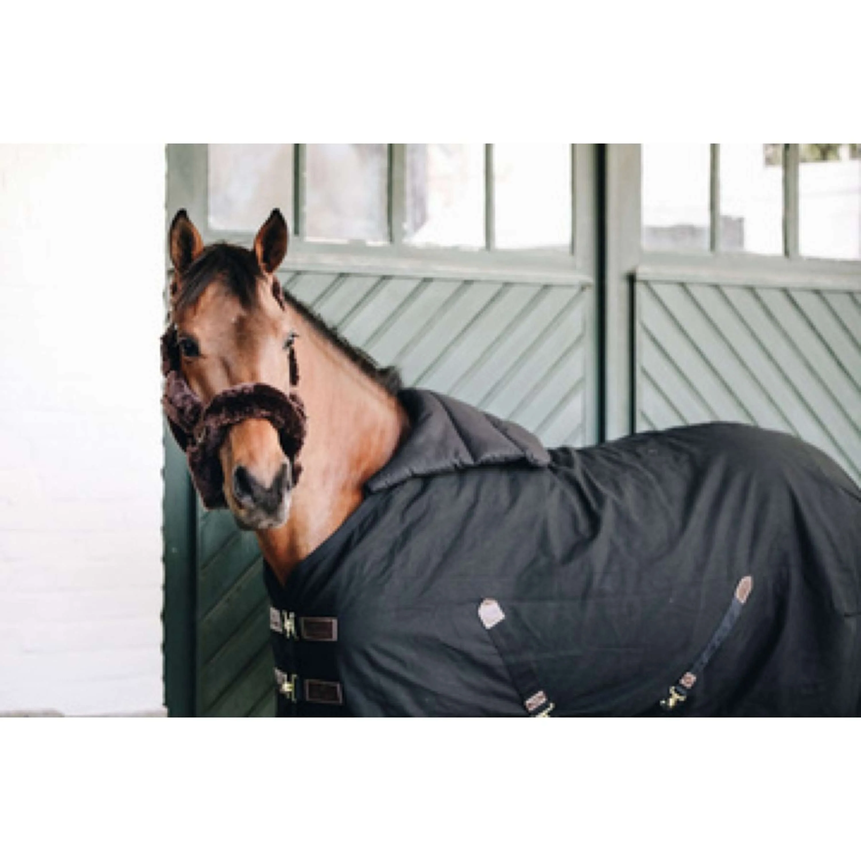 Kentucky Horsewear Bib Estate Nero - Image 2