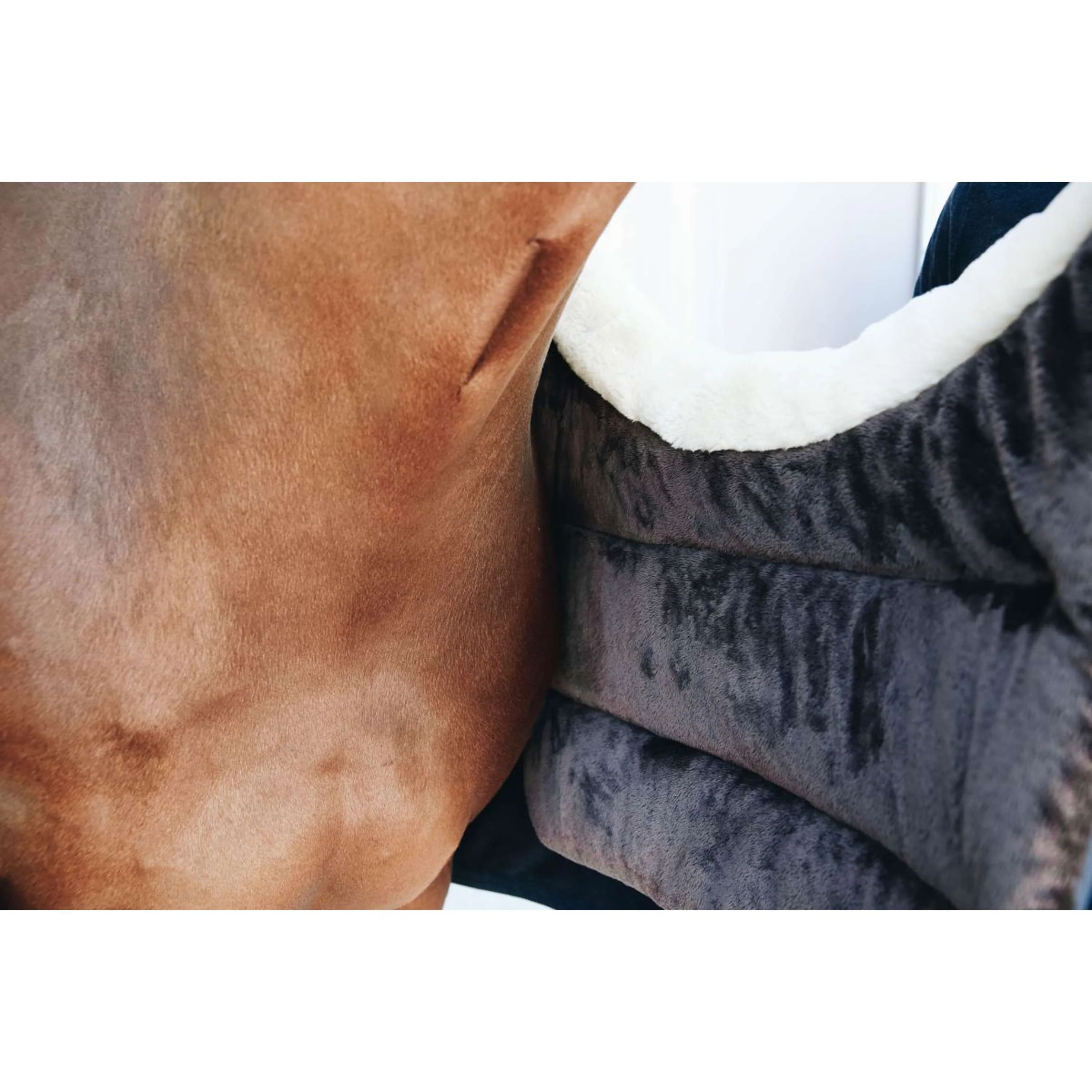 Kentucky Horsewear Bib Winter Nero - Image 3