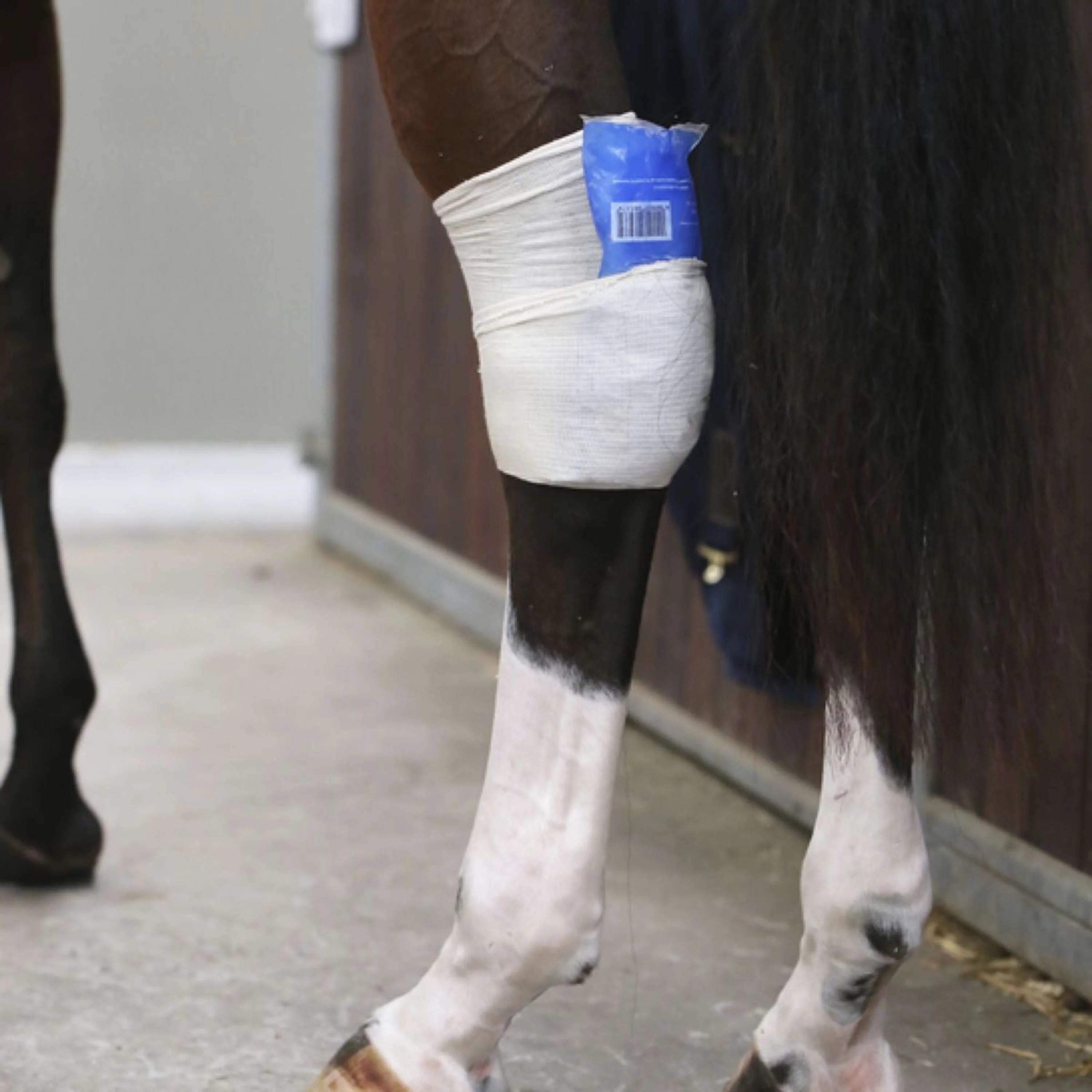 Kentucky Horsewear Calzini da equitazione Tendon Grip Beige - Image 2