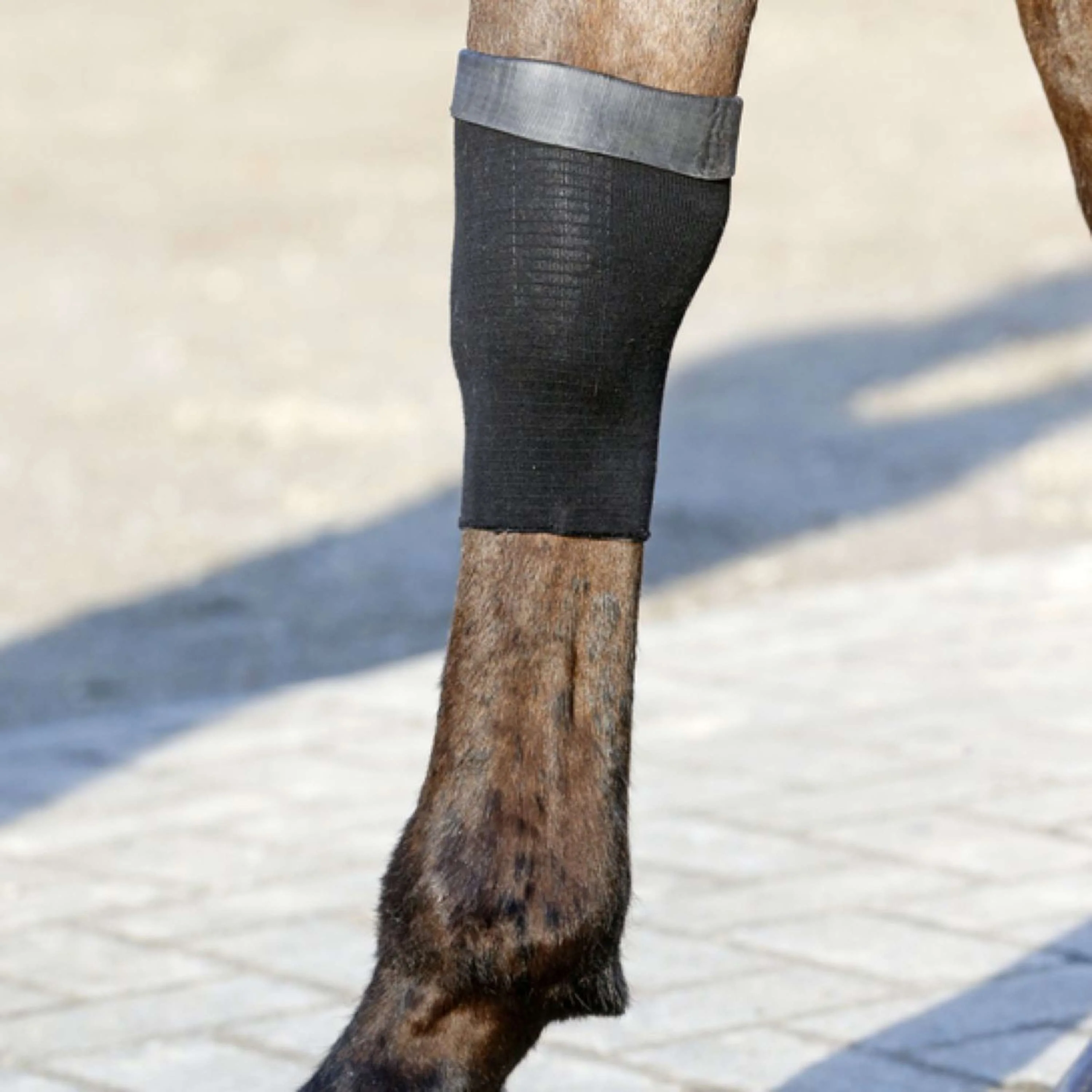 Kentucky Horsewear Calzini da equitazione Tendon Grip Gel Nero