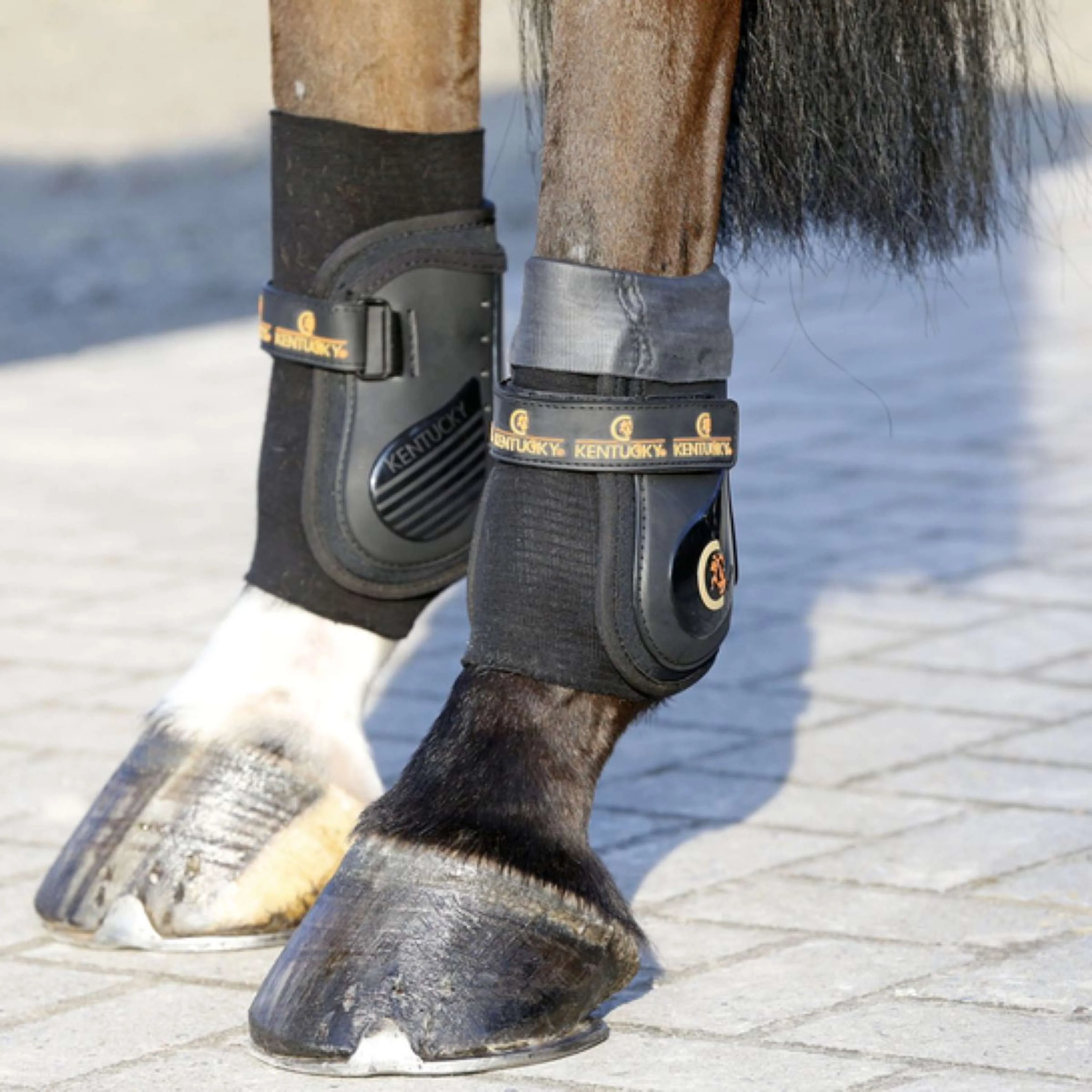 Kentucky Horsewear Calzini da equitazione Tendon Grip Gel Nero - Image 2