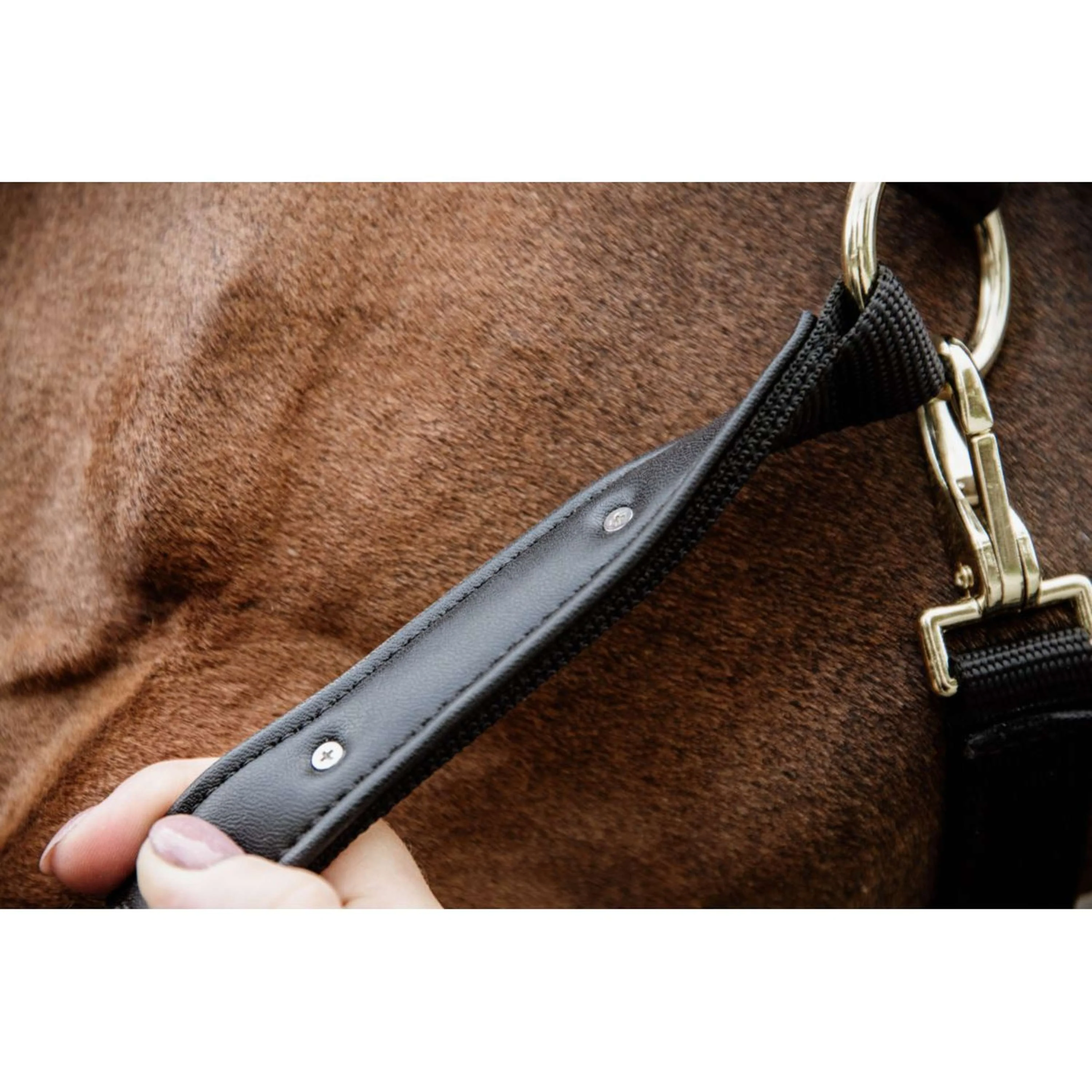 Kentucky Horsewear Cavezza Anatomic Nylon Navy - Image 5