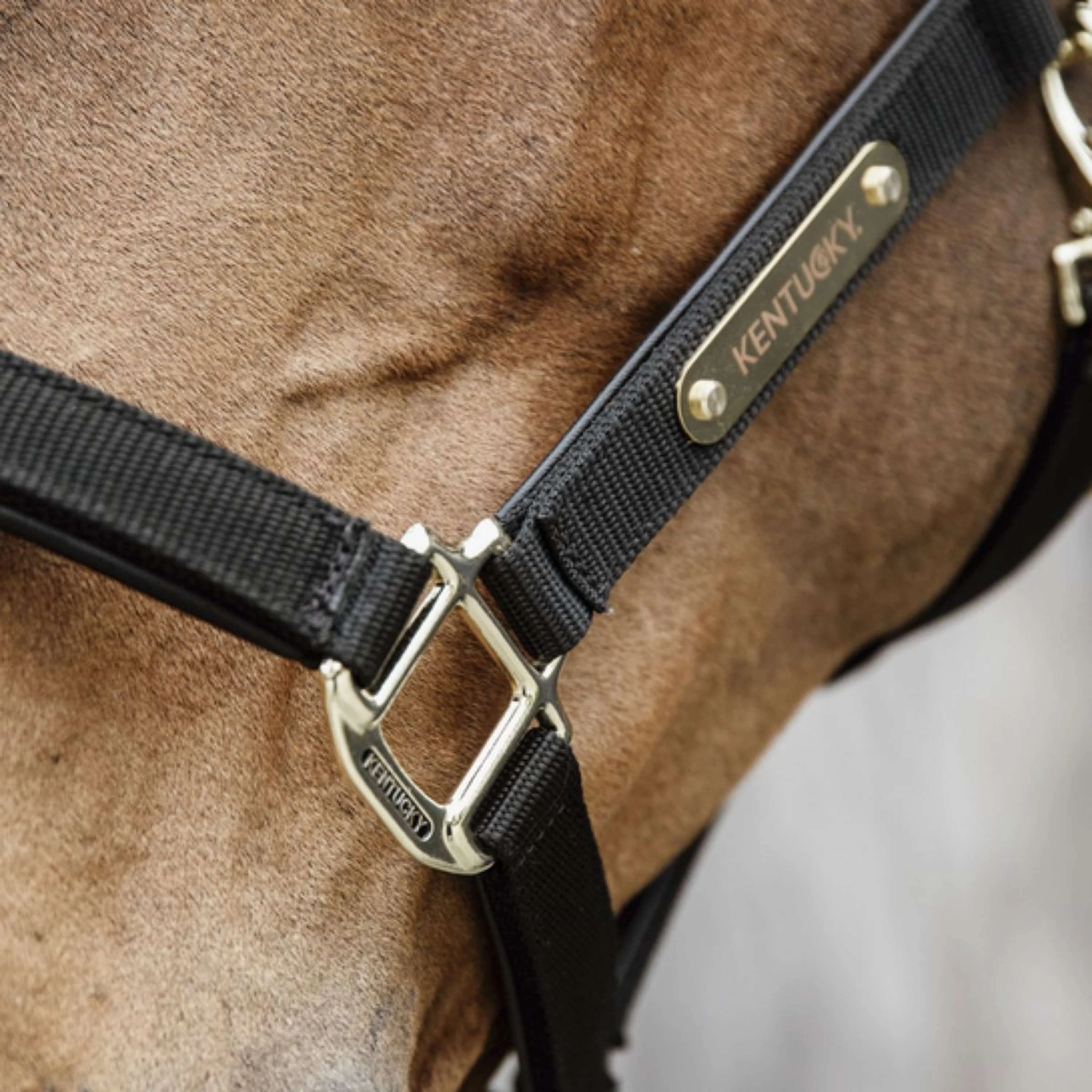 Kentucky Horsewear Cavezza Anatomic Nylon Nero - Image 4