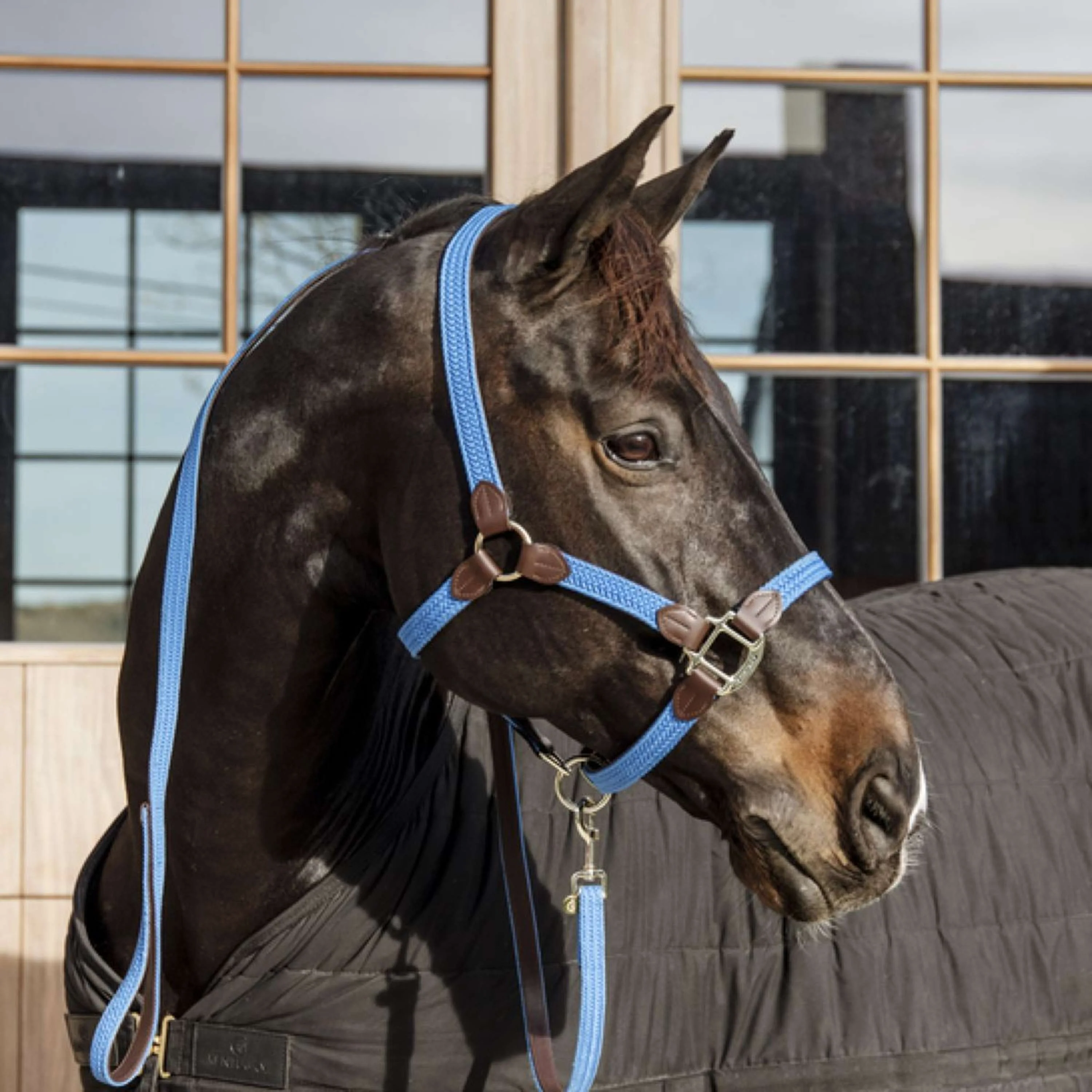 Kentucky Horsewear Cavezza Nylon intrecciato Azzurro - Image 2