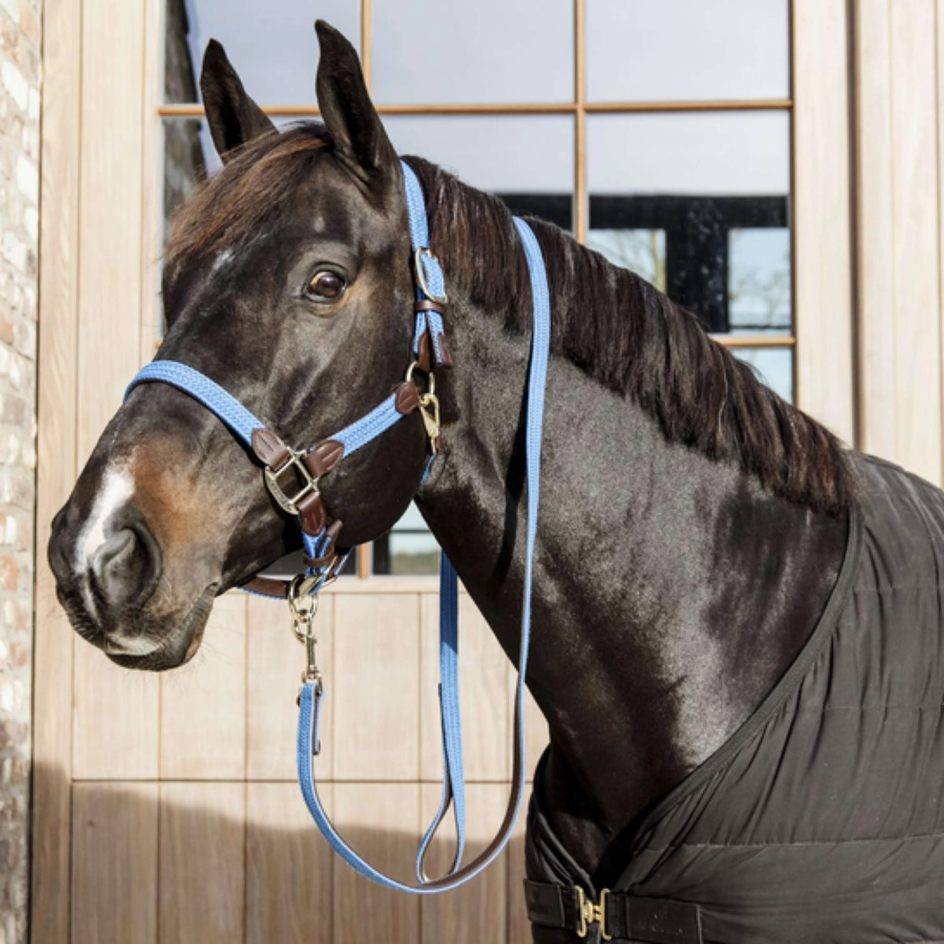 Kentucky Horsewear Cavezza Nylon intrecciato Azzurro - Image 3