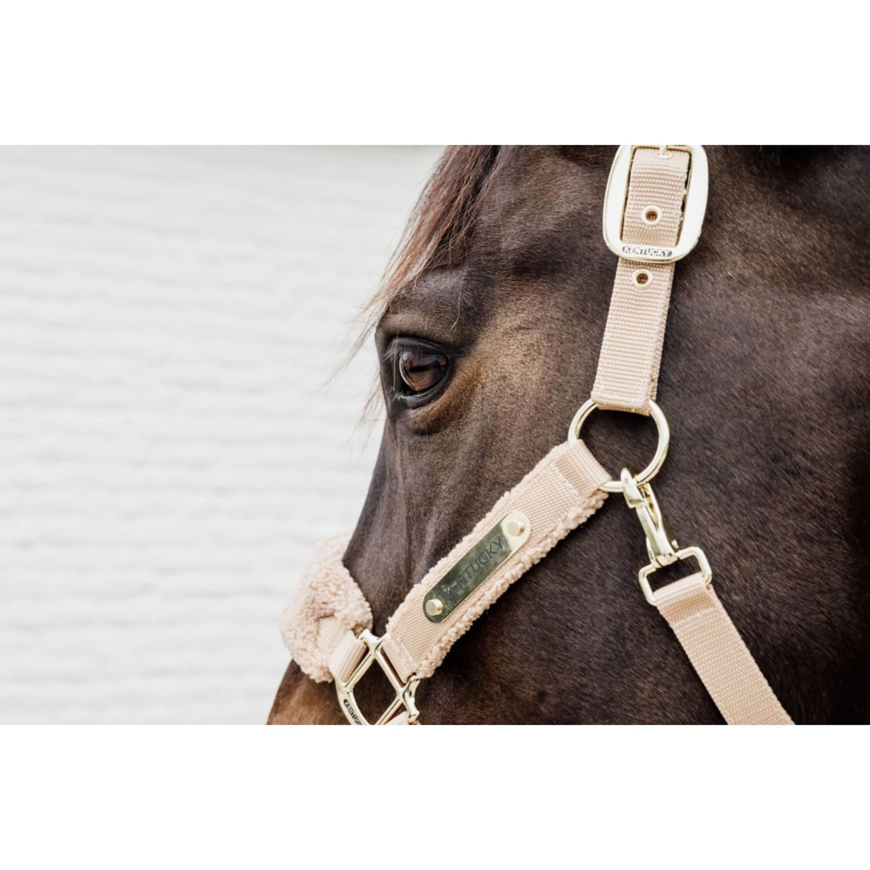 Kentucky Horsewear Cavezza Teddy Fleece Beige - Image 2