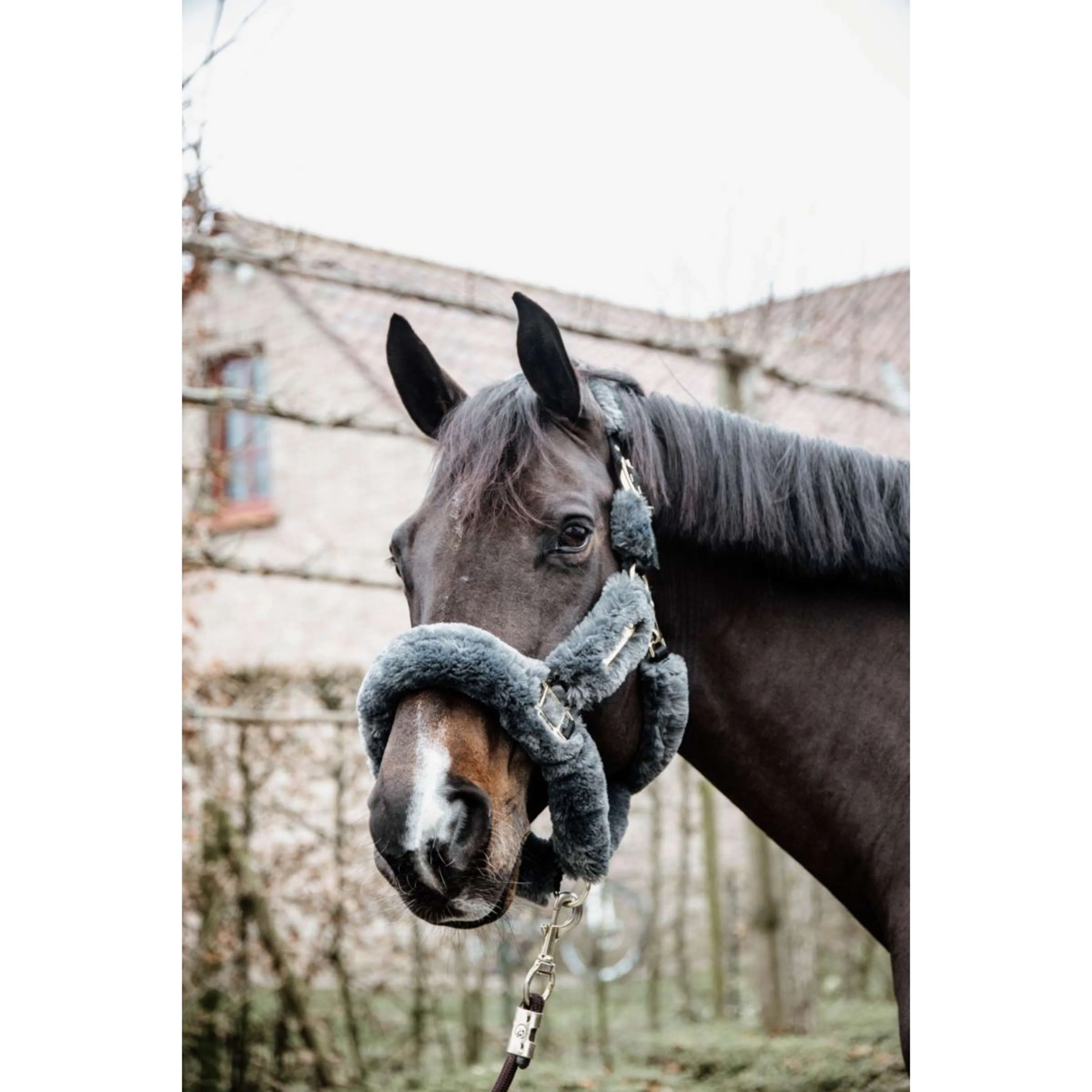 Kentucky Horsewear Cavezza Sheepskin Grigio - Image 3