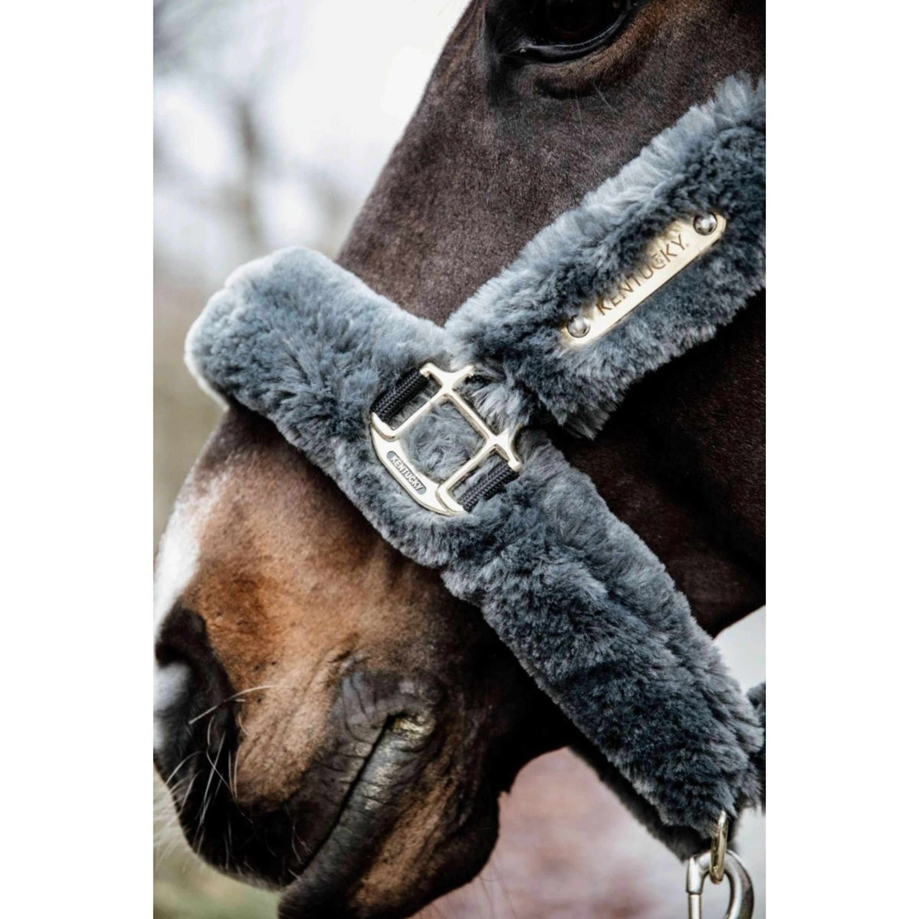 Kentucky Horsewear Cavezza Sheepskin Grigio - Image 6