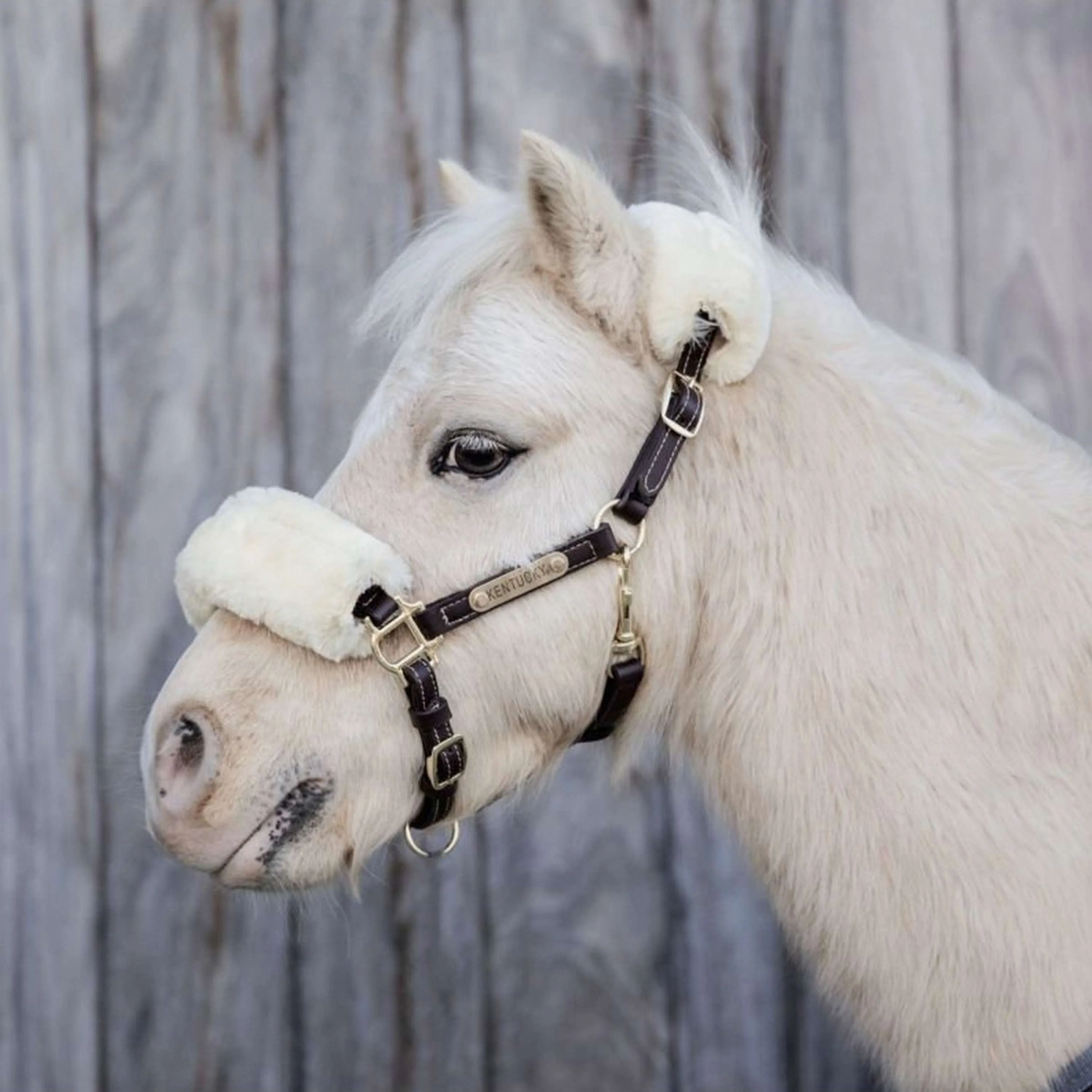 Kentucky Horsewear Cavezza in Cuoio Pelle di pecora in pelle Marrone/Naturale - Image 2