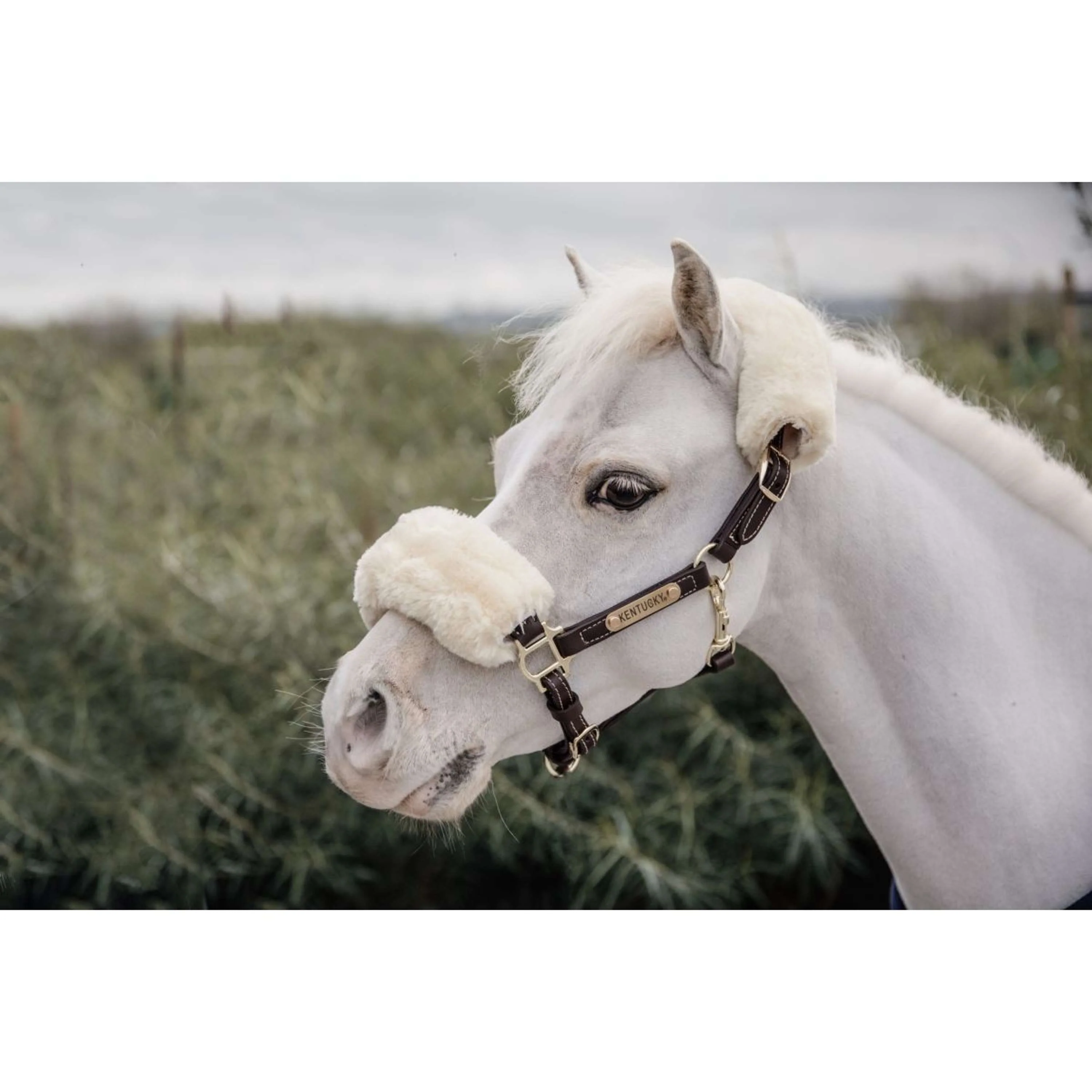 Kentucky Horsewear Cavezza in Cuoio Pelle di pecora in pelle Marrone/Naturale - Image 3