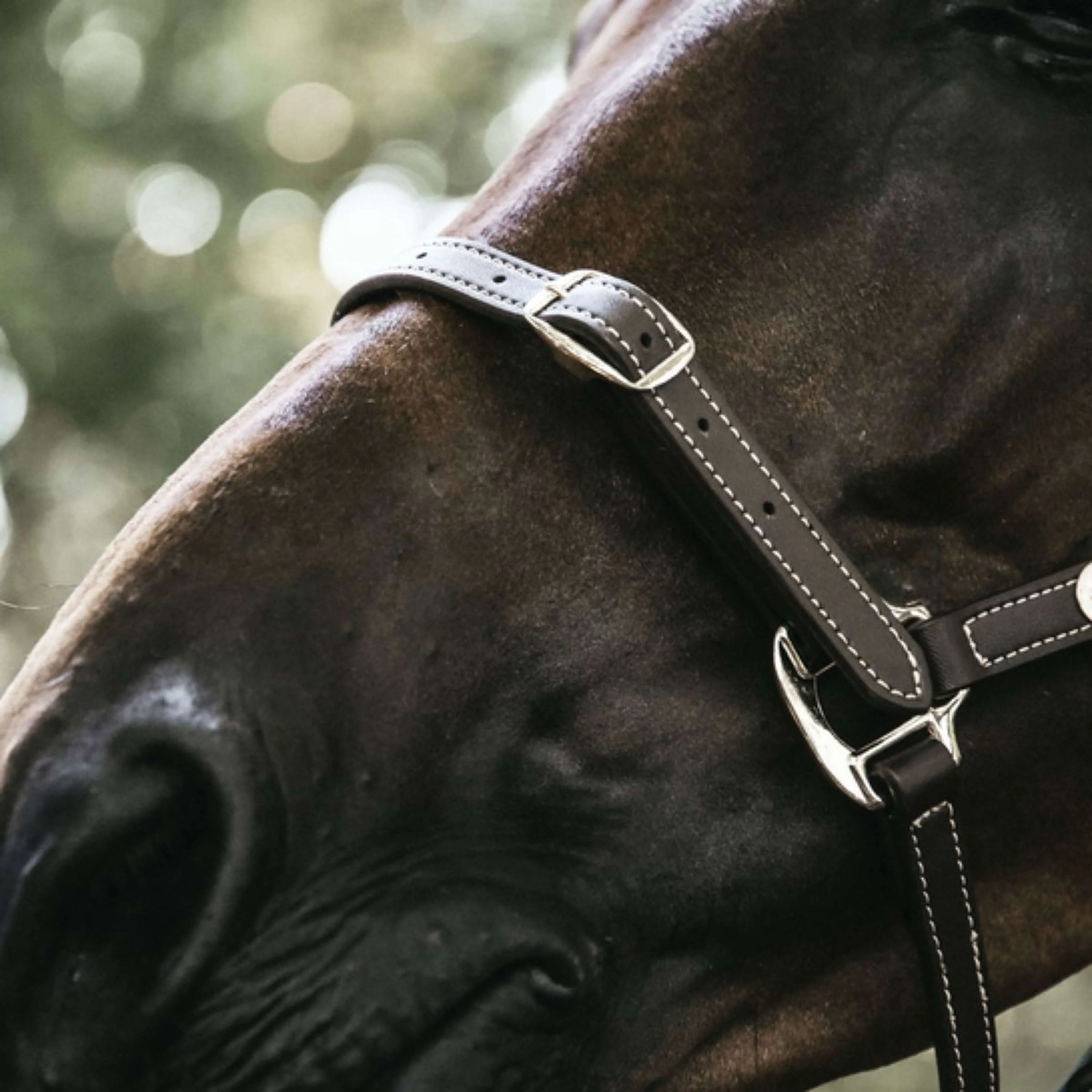 Kentucky Horsewear Cavezza in Cuoio Pelle Flessibile Marrone - Image 3