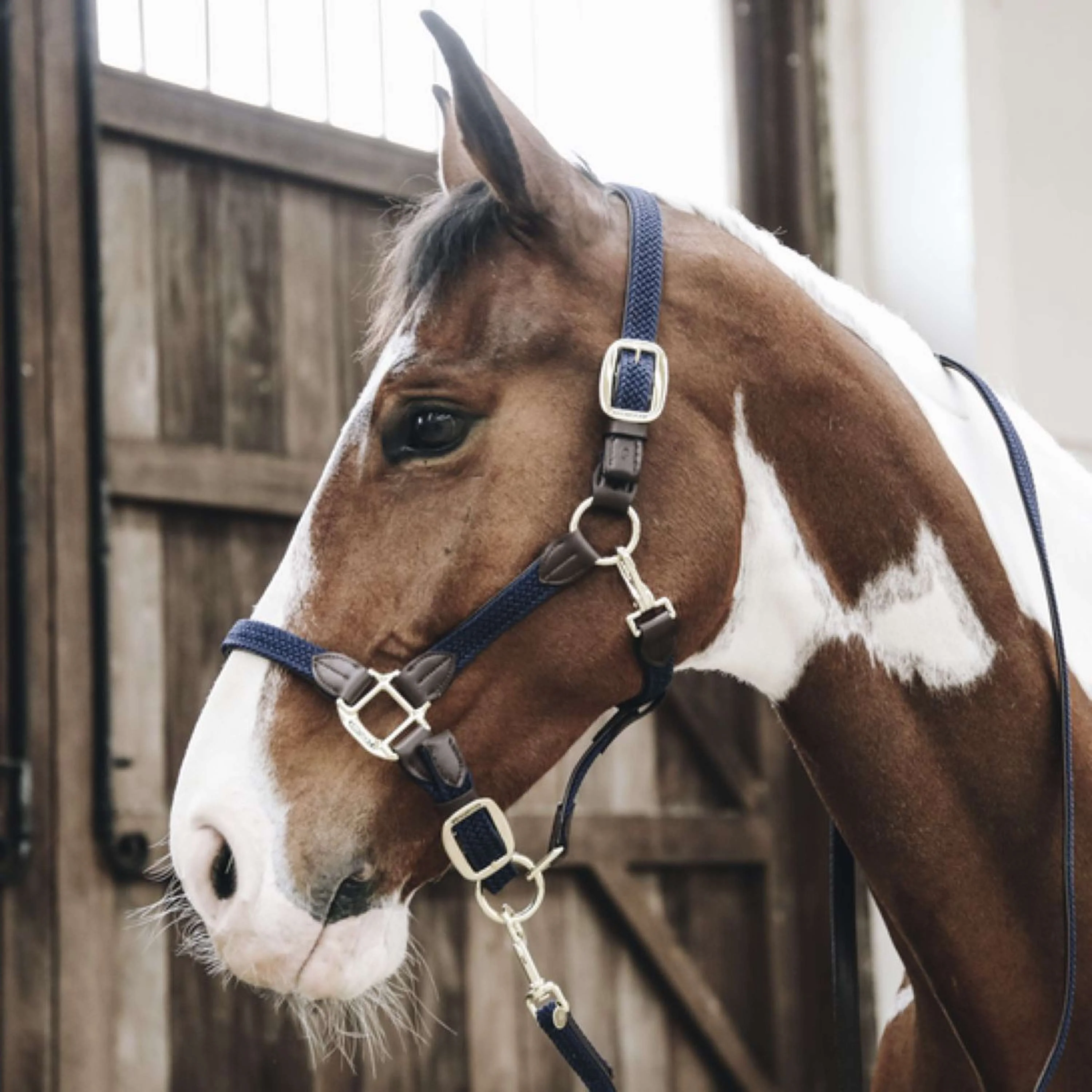 Kentucky Horsewear Cavezza Nylon intrecciato Navy - Image 2