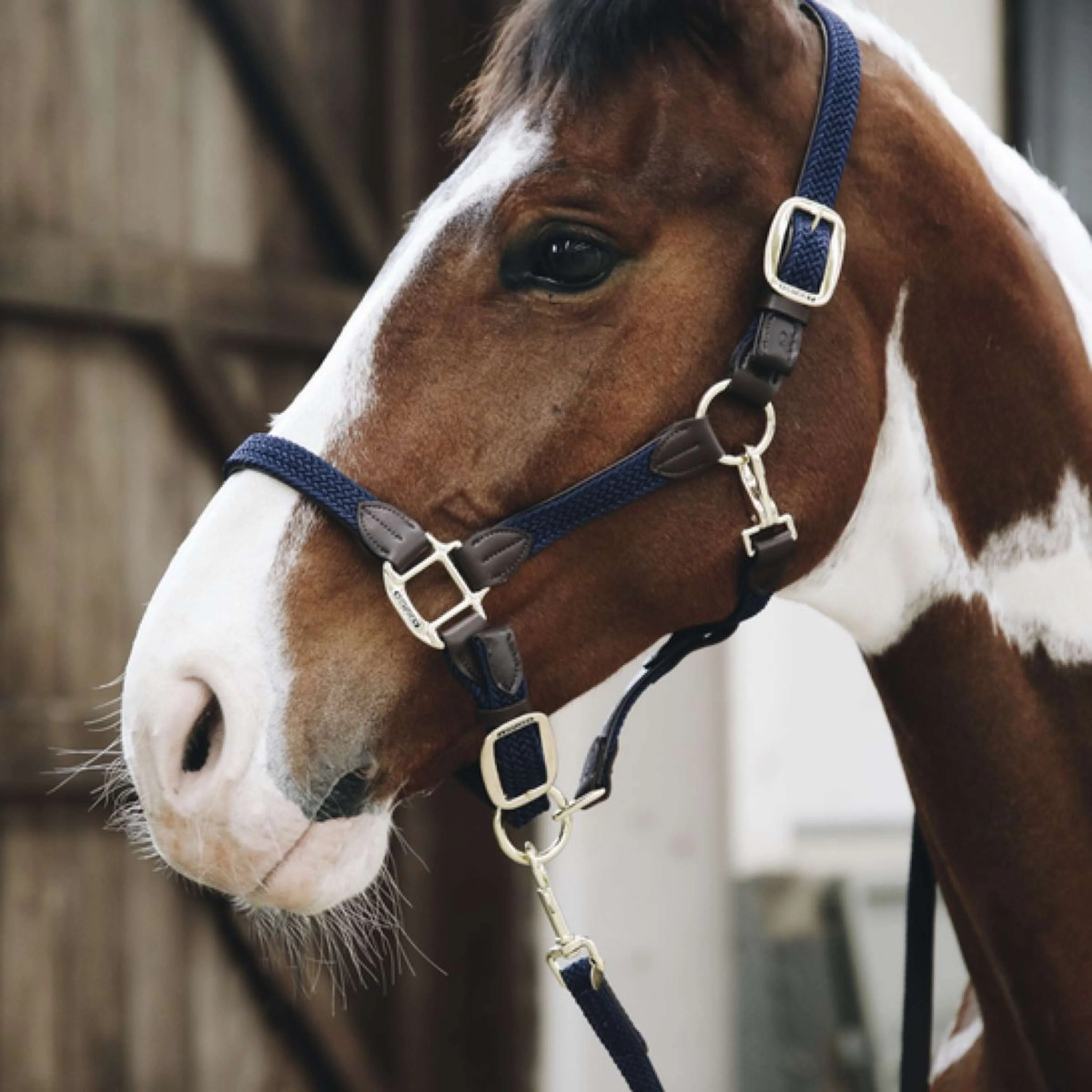 Kentucky Horsewear Cavezza Nylon intrecciato Navy - Image 3