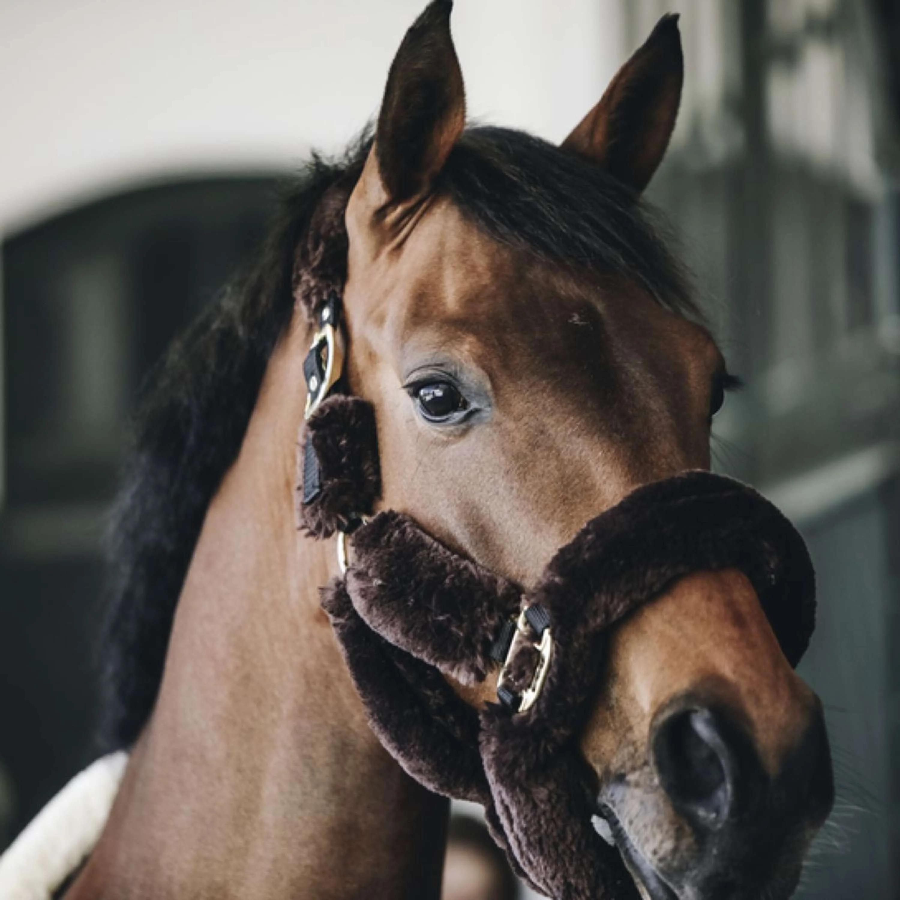 Kentucky Horsewear Cavezza Sheepskin Marrone - Image 4