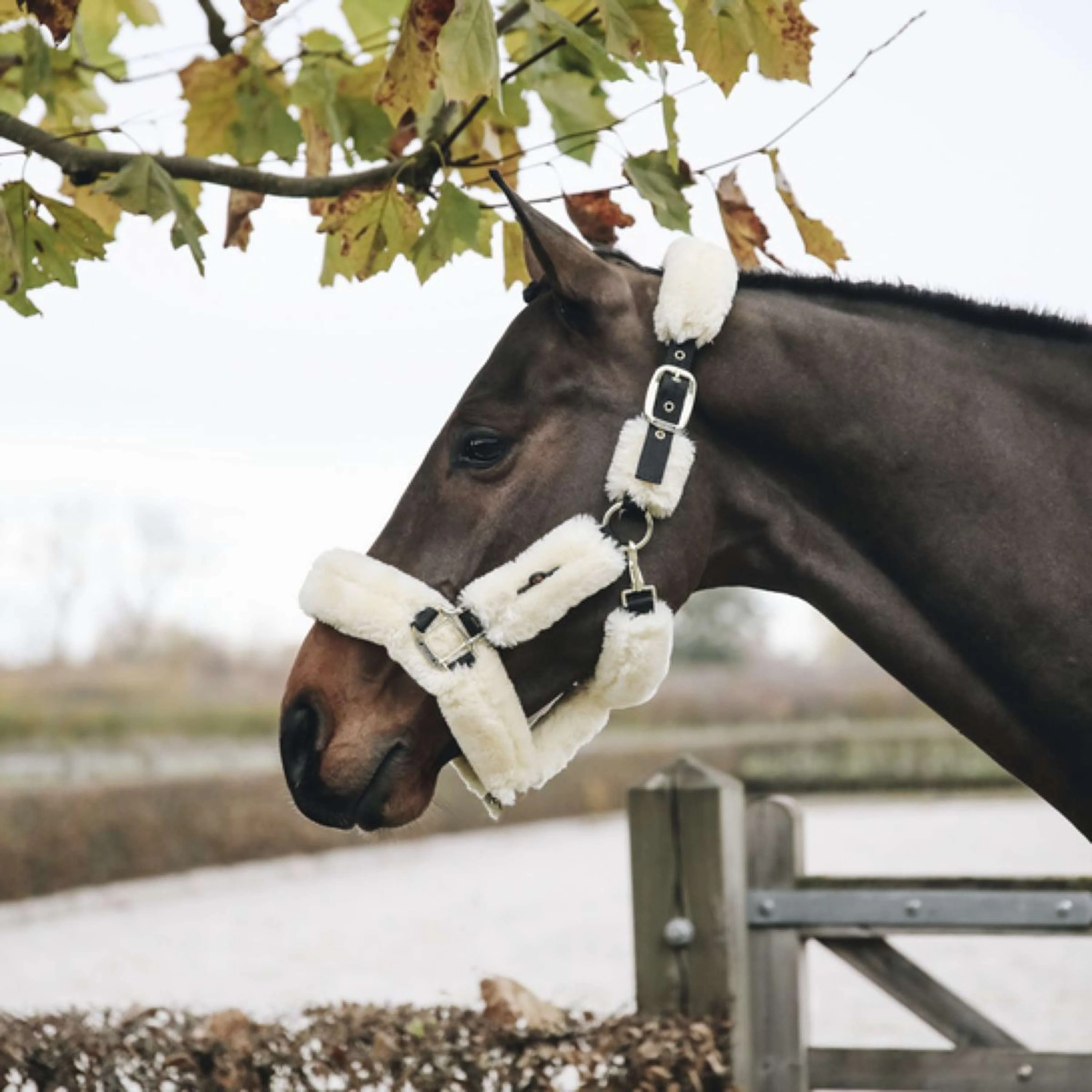 Kentucky Horsewear Cavezza Sheepskin Naturale - Image 3