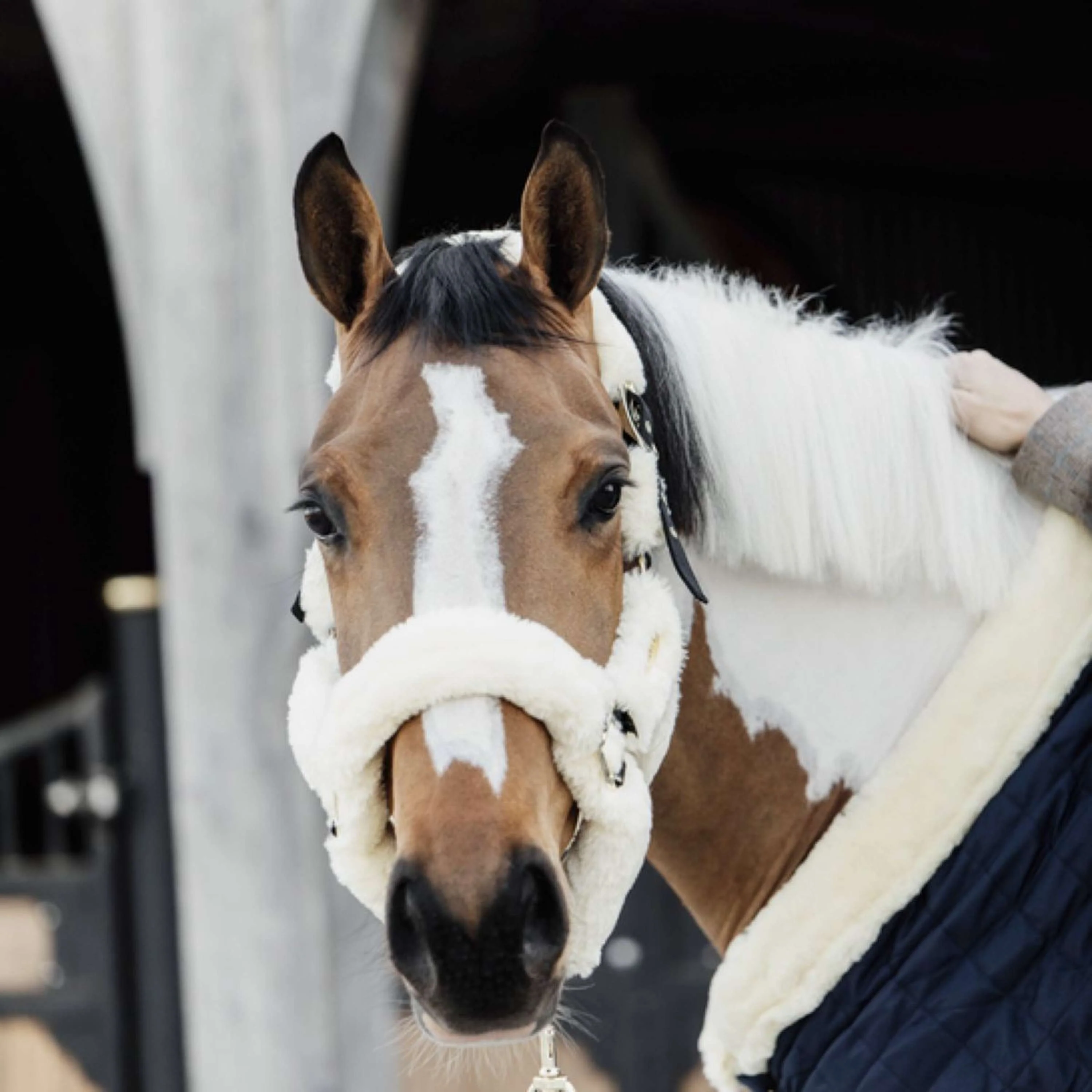 Kentucky Horsewear Cavezza Sheepskin Naturale - Image 4