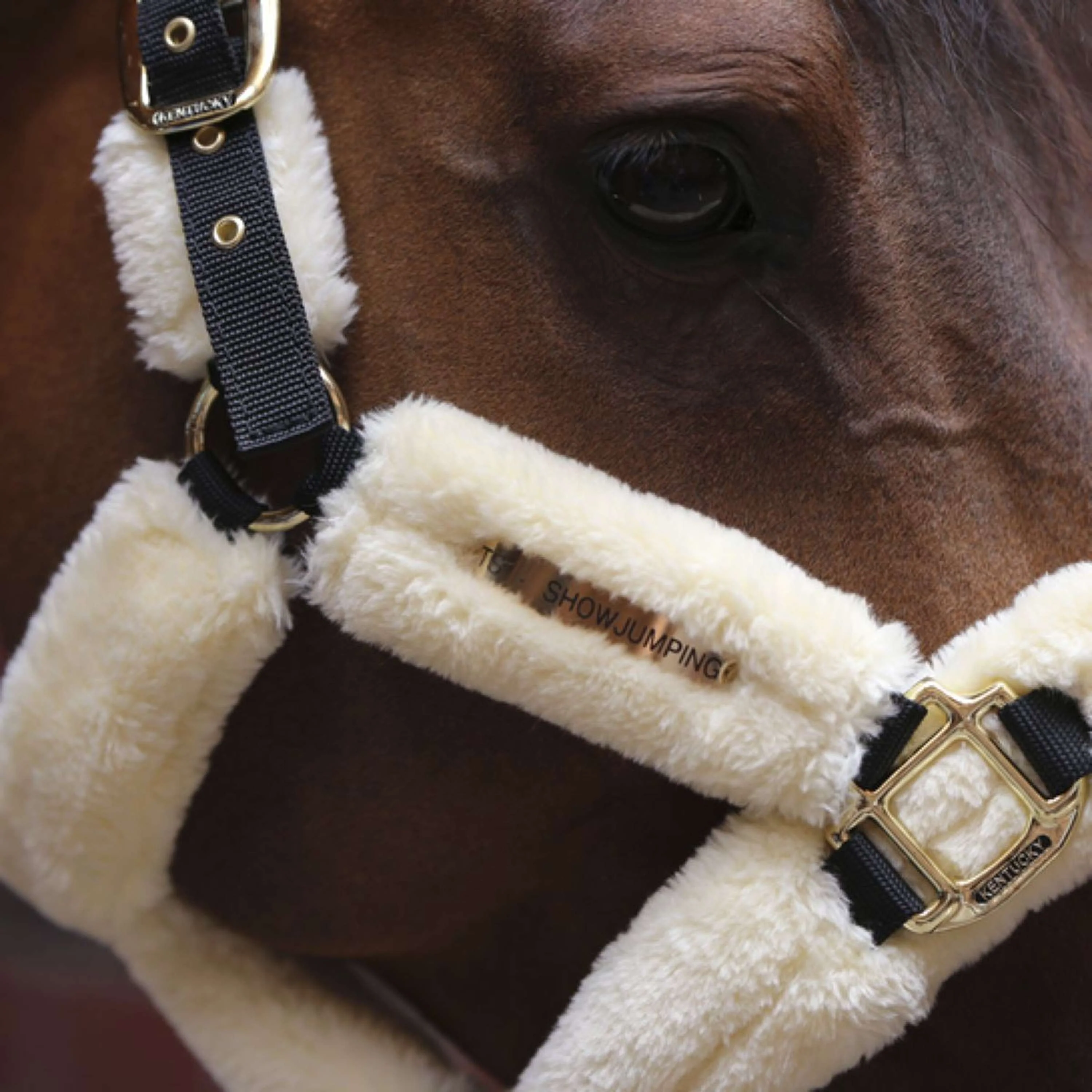 Kentucky Horsewear Cavezza Sheepskin Naturale - Image 5