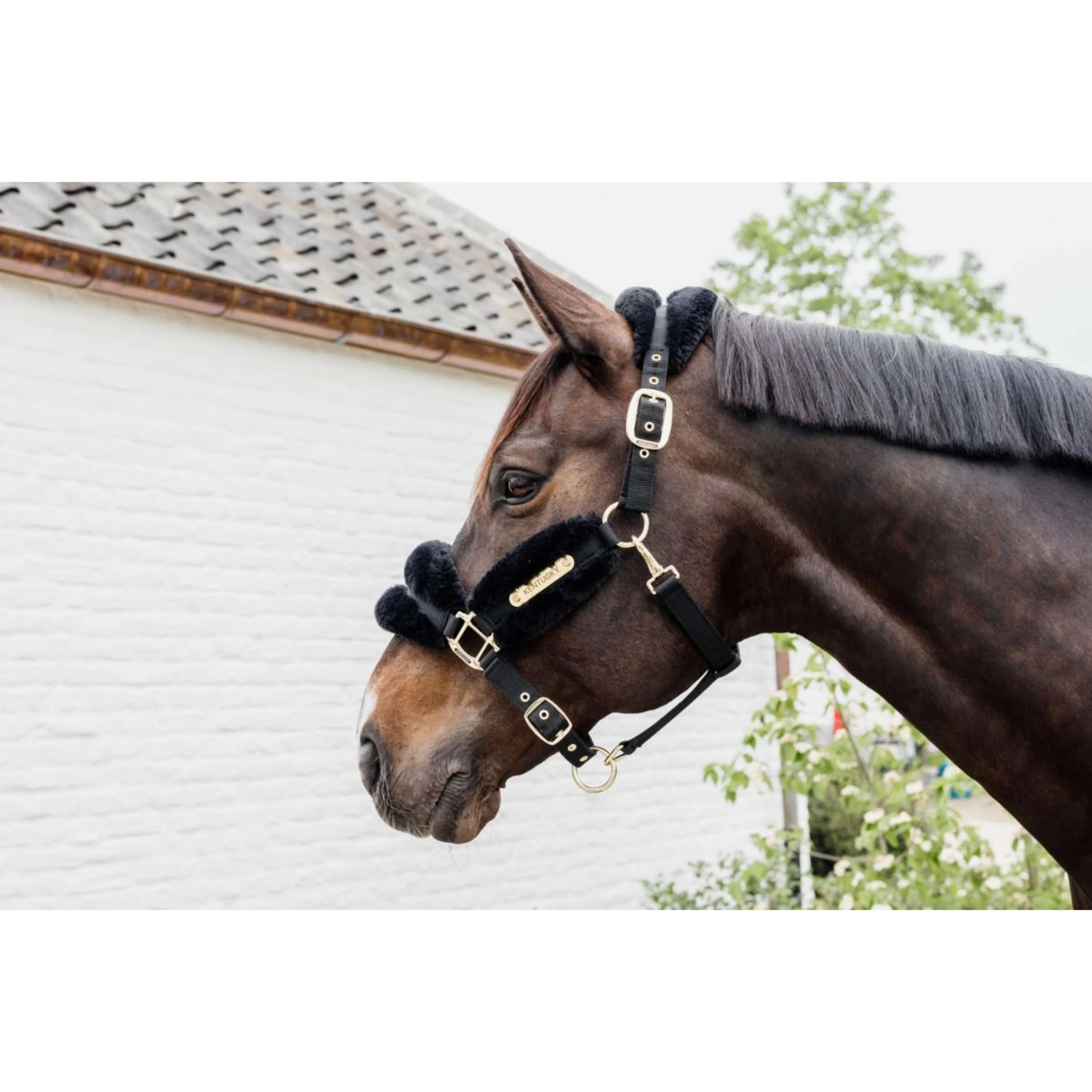 Kentucky Horsewear Cavezza Nylon Lana Morbida Nero - Image 2