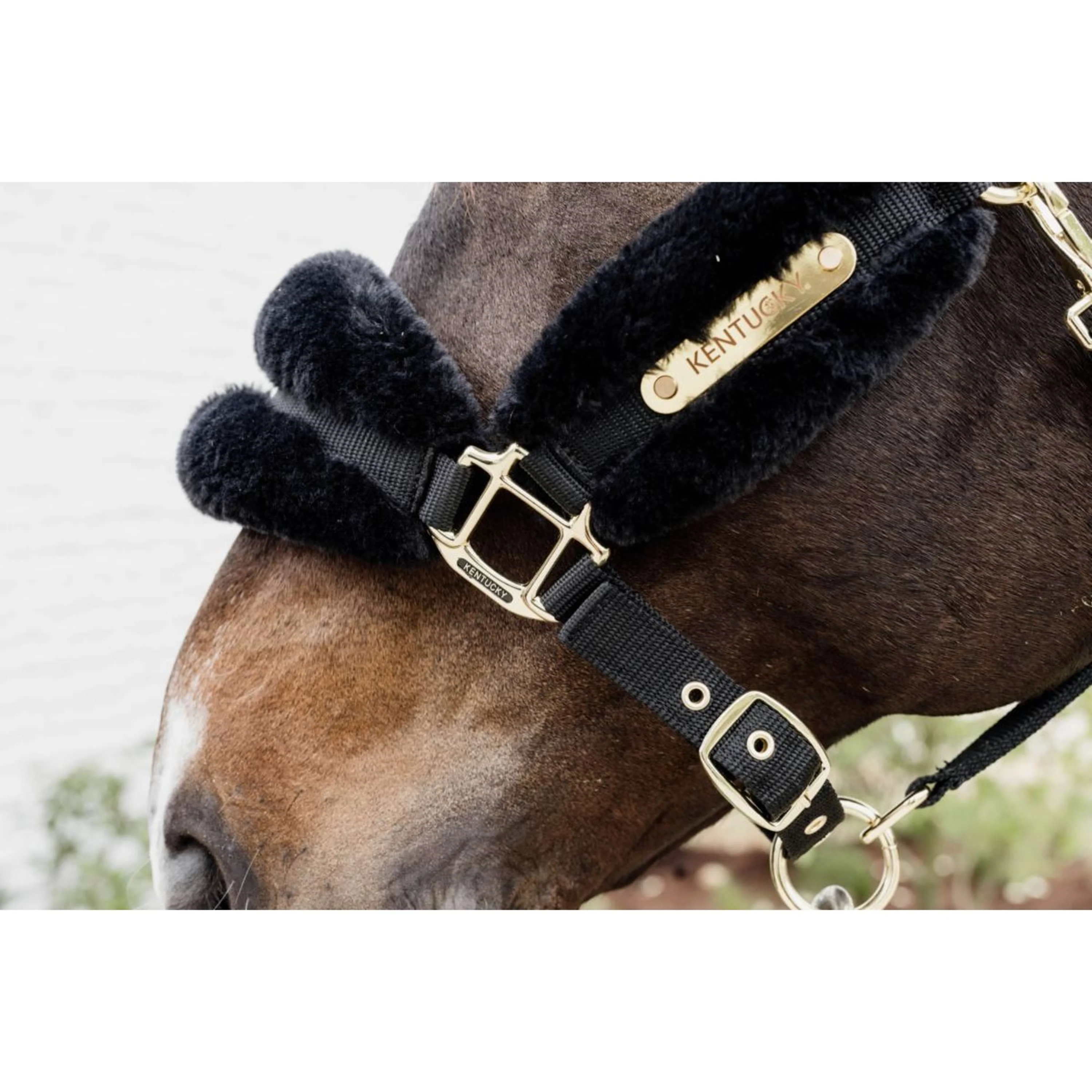 Kentucky Horsewear Cavezza Nylon Lana Morbida Nero - Image 3
