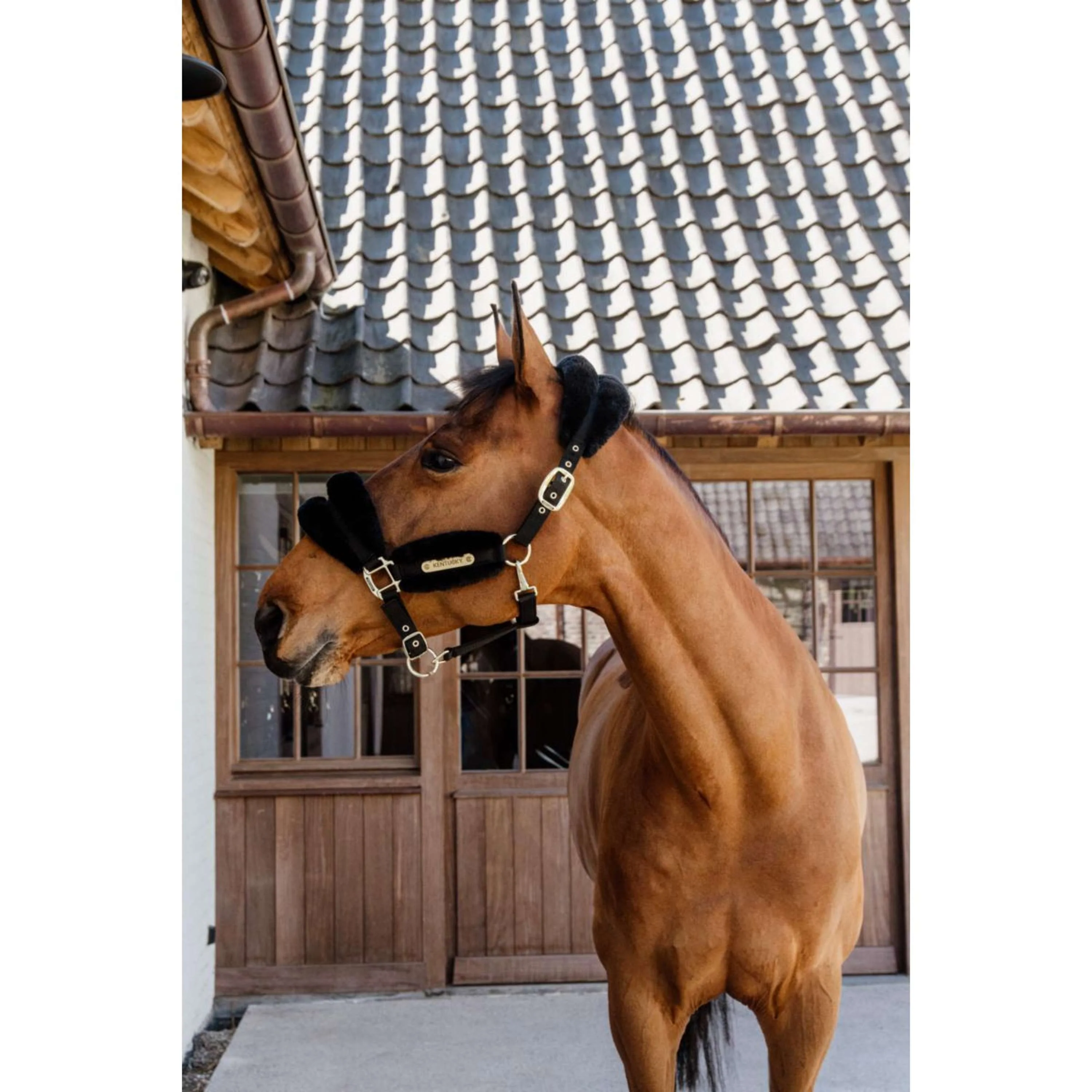 Kentucky Horsewear Cavezza Nylon Lana Morbida Nero - Image 4