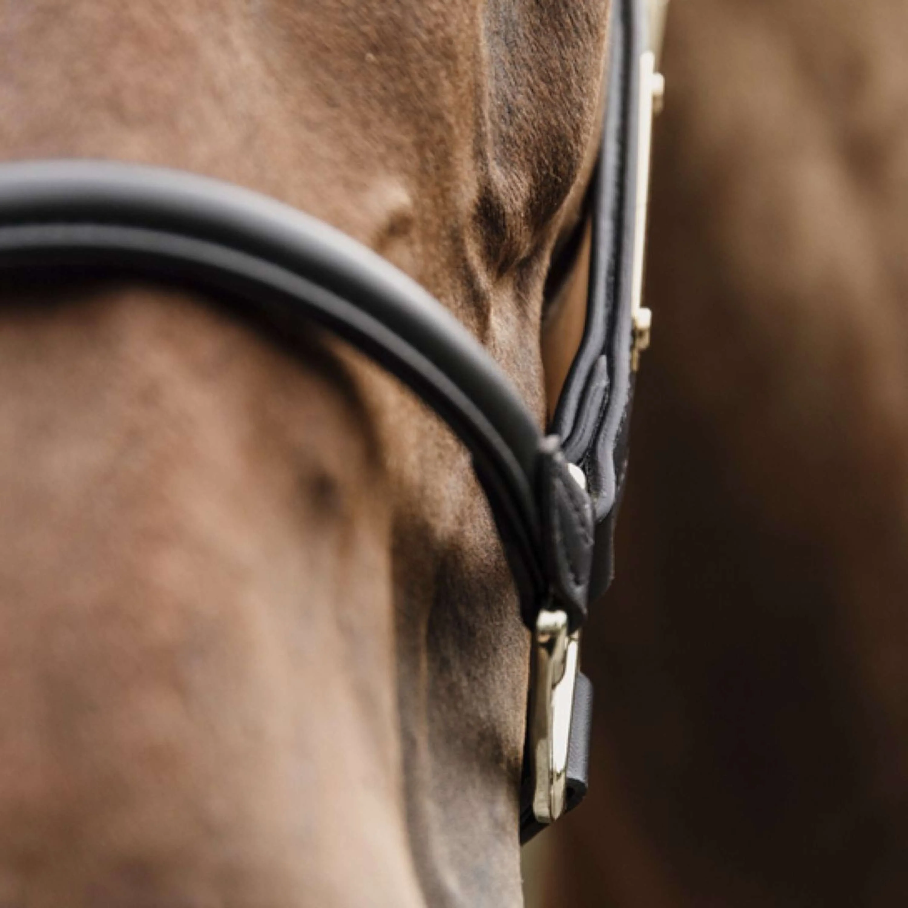 Kentucky Horsewear Cavezza Pelle Anatomica Nero - Image 4