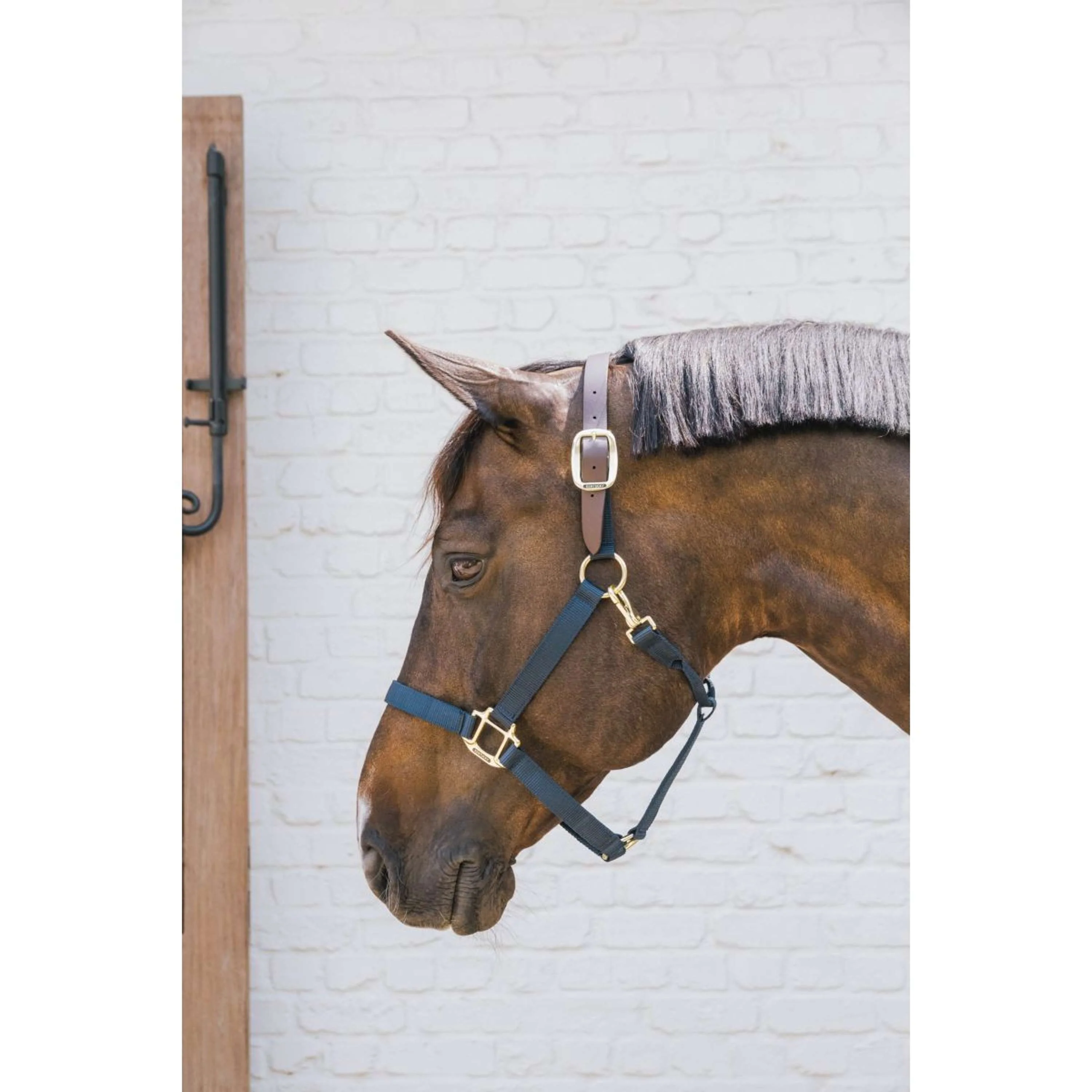 Kentucky Horsewear Cavezza Nylon Breakaway Navy - Image 2