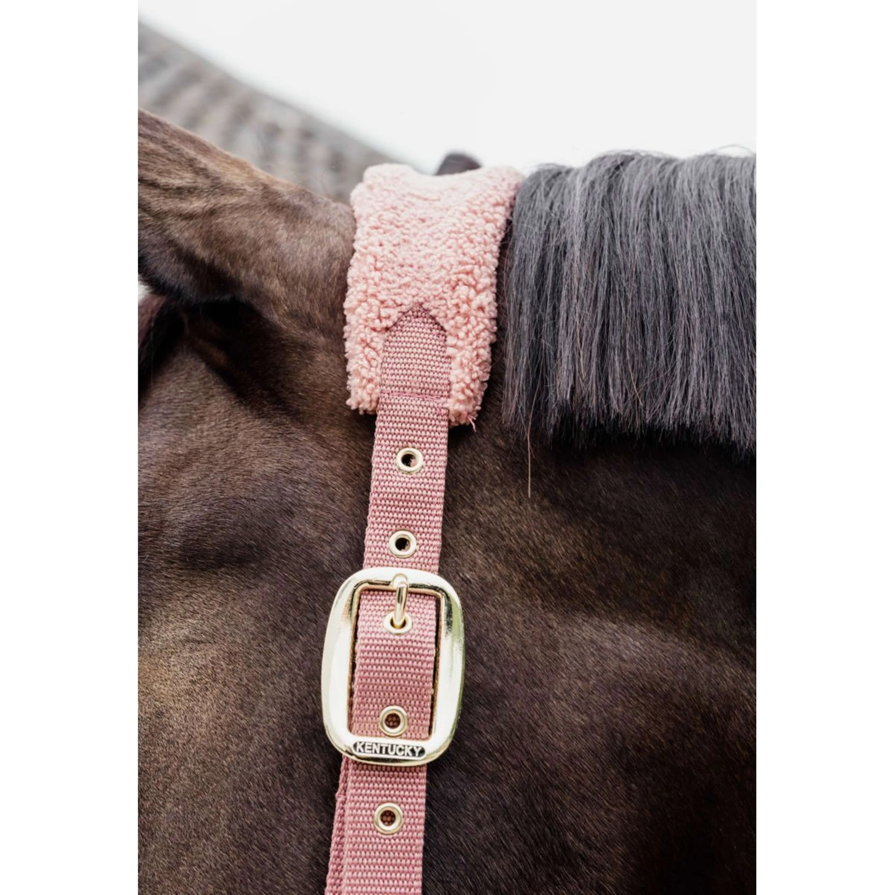 Kentucky Horsewear Cavezza Teddy Fleece Rosa antico - Image 2