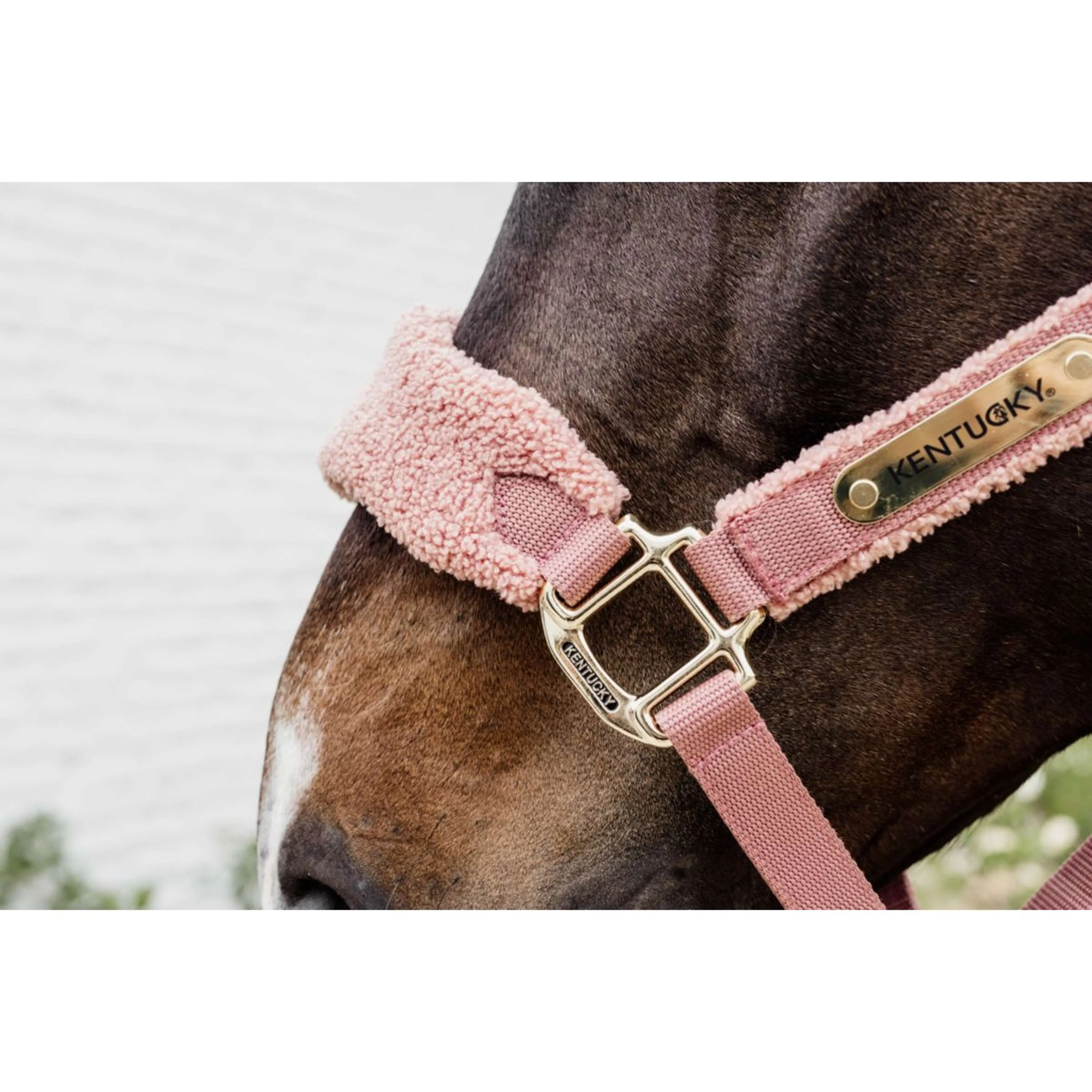Kentucky Horsewear Cavezza Teddy Fleece Rosa antico - Image 3