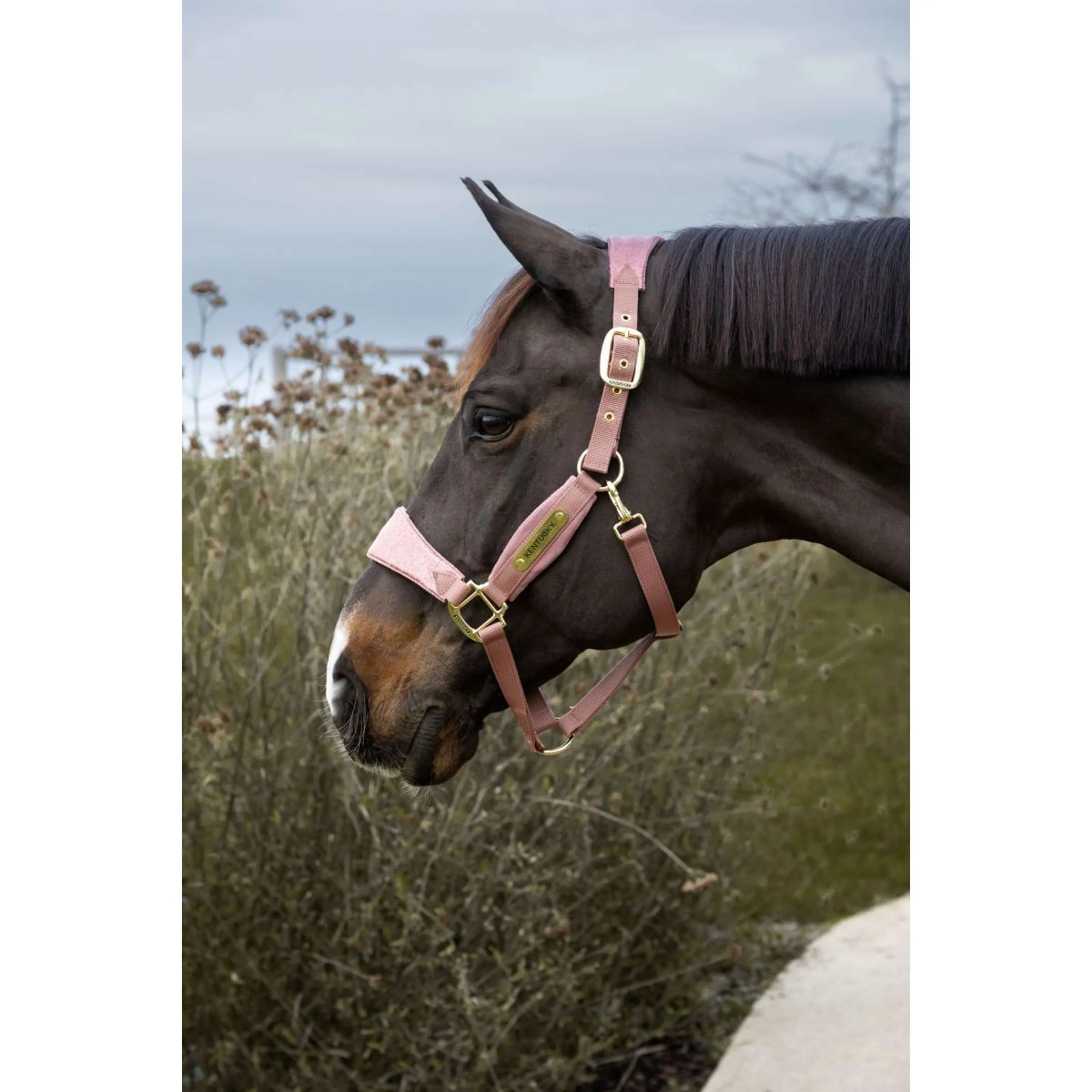 Kentucky Horsewear Cavezza Velvet Glitter Unicorn Rosa antico - Image 2