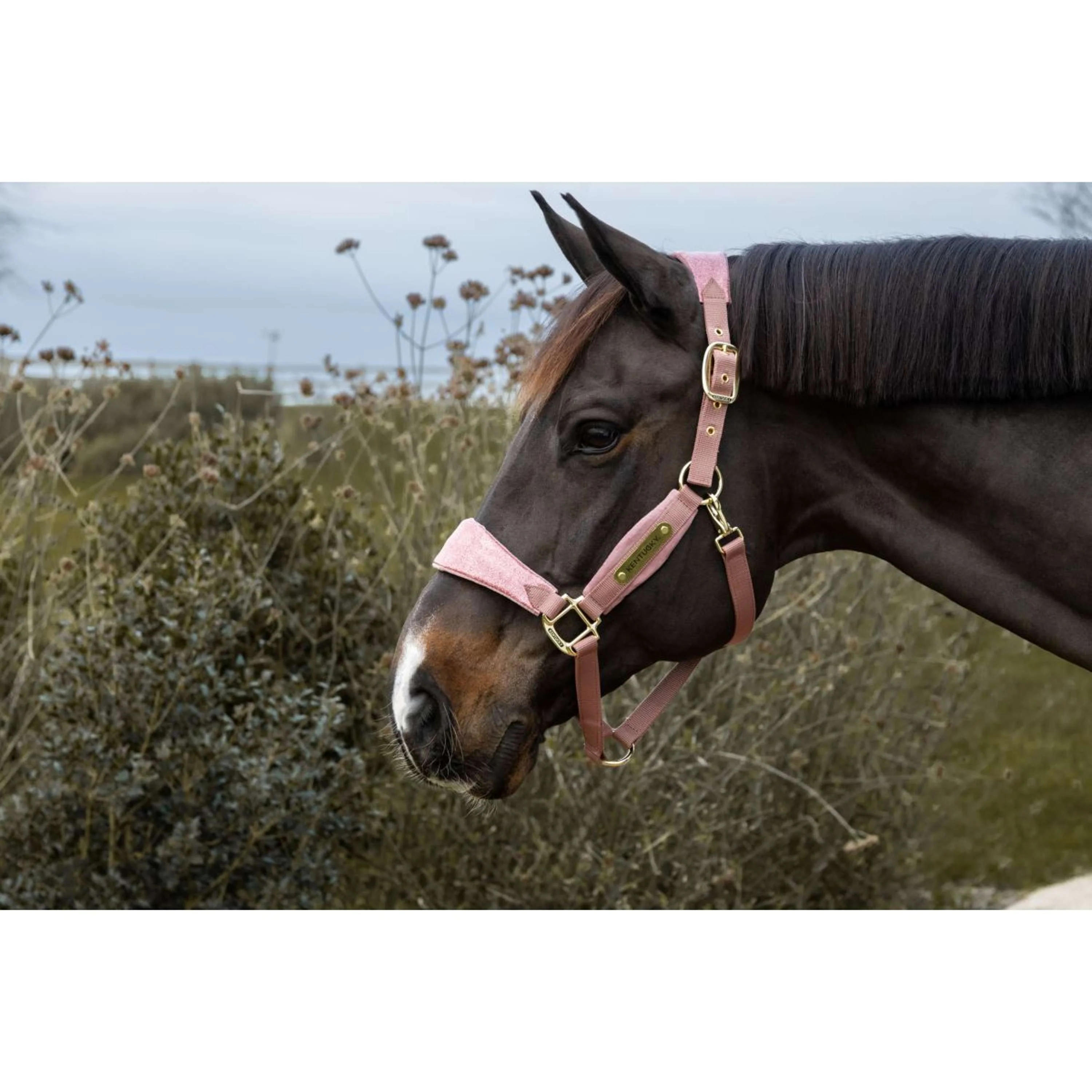 Kentucky Horsewear Cavezza Velvet Glitter Unicorn Rosa antico - Image 3