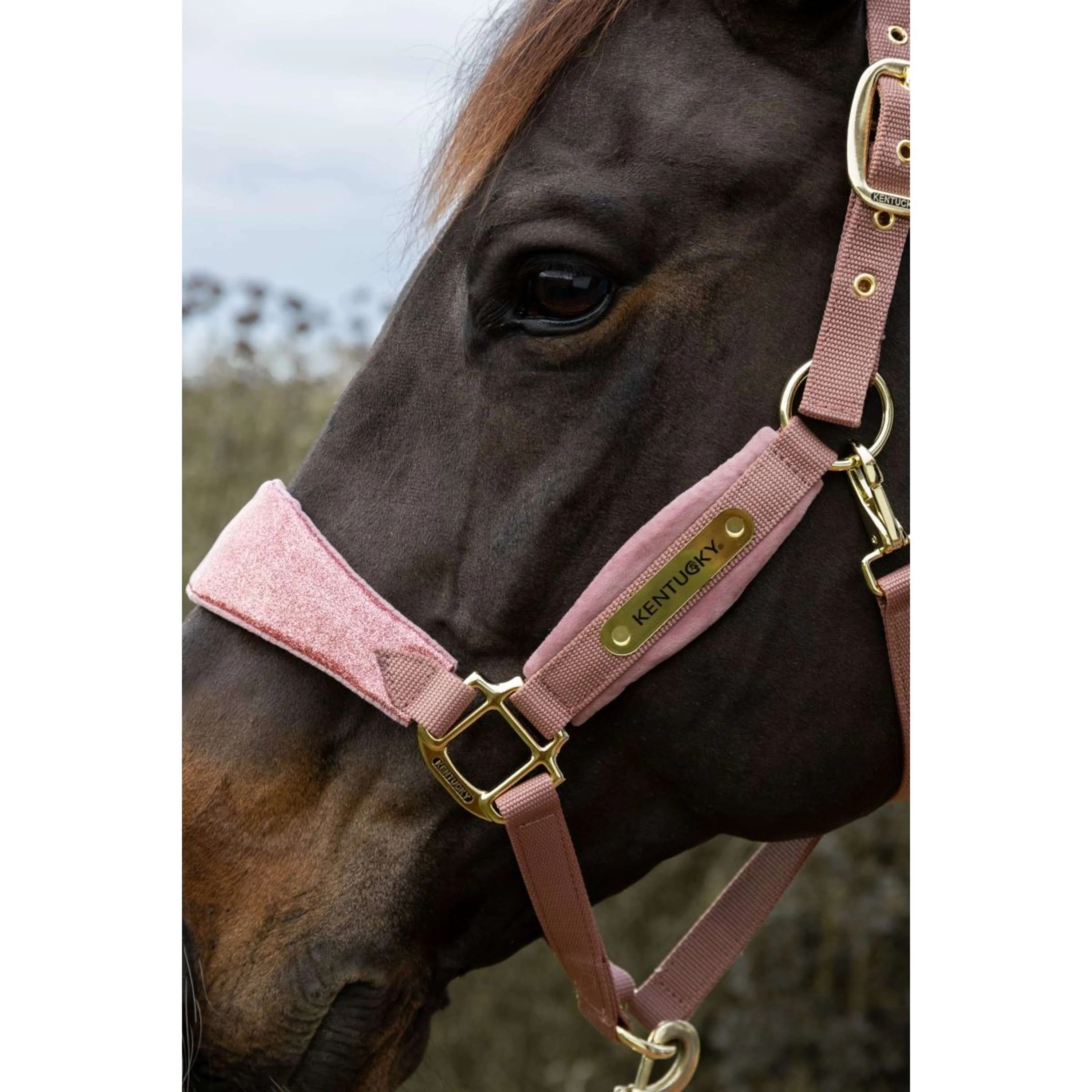 Kentucky Horsewear Cavezza Velvet Glitter Unicorn Rosa antico - Image 5