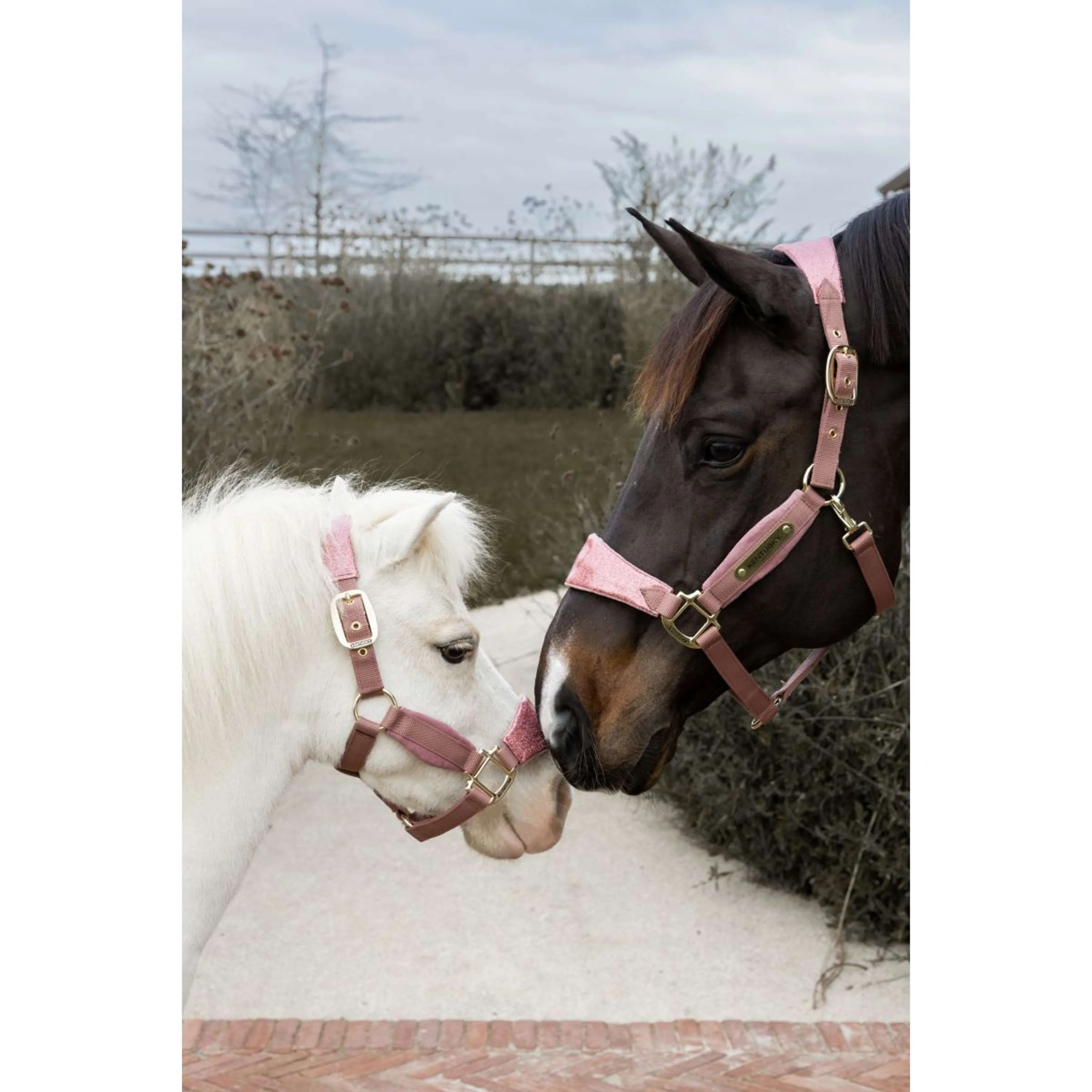 Kentucky Horsewear Cavezza Velvet Glitter Unicorn Rosa antico - Image 6