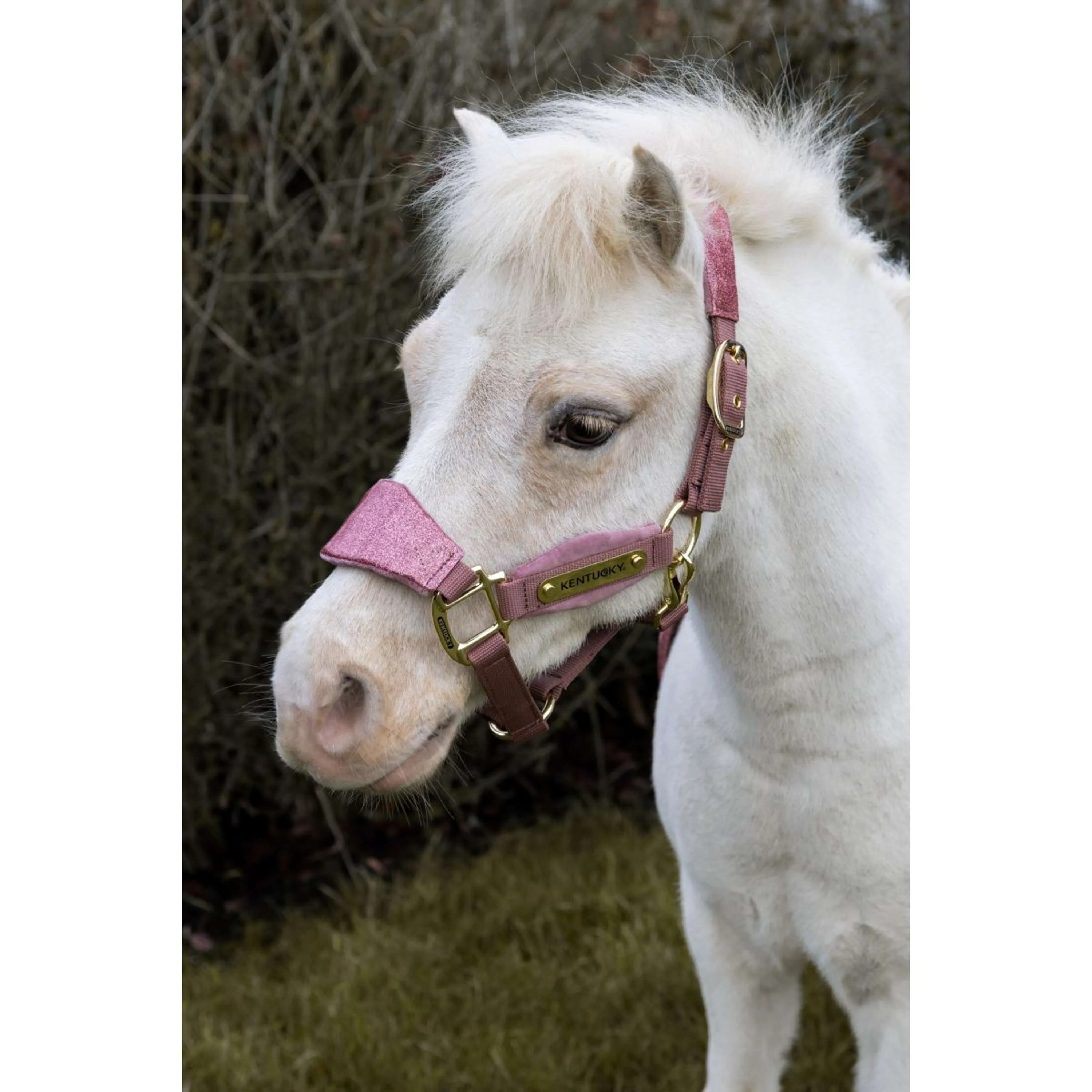 Kentucky Horsewear Cavezza Velvet Glitter Unicorn Rosa antico - Image 8