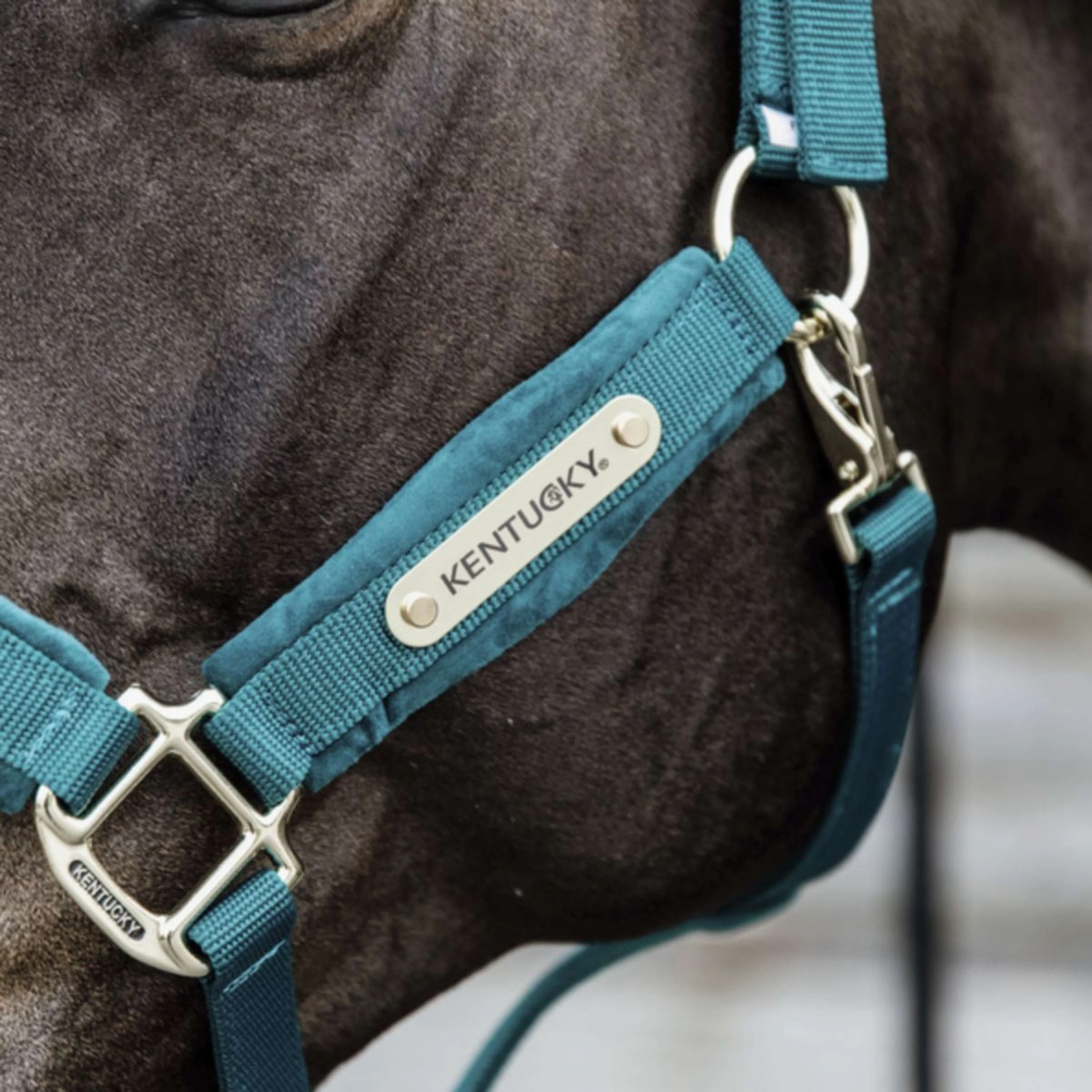 Kentucky Horsewear Cavezza Velvet Smeraldo - Image 4