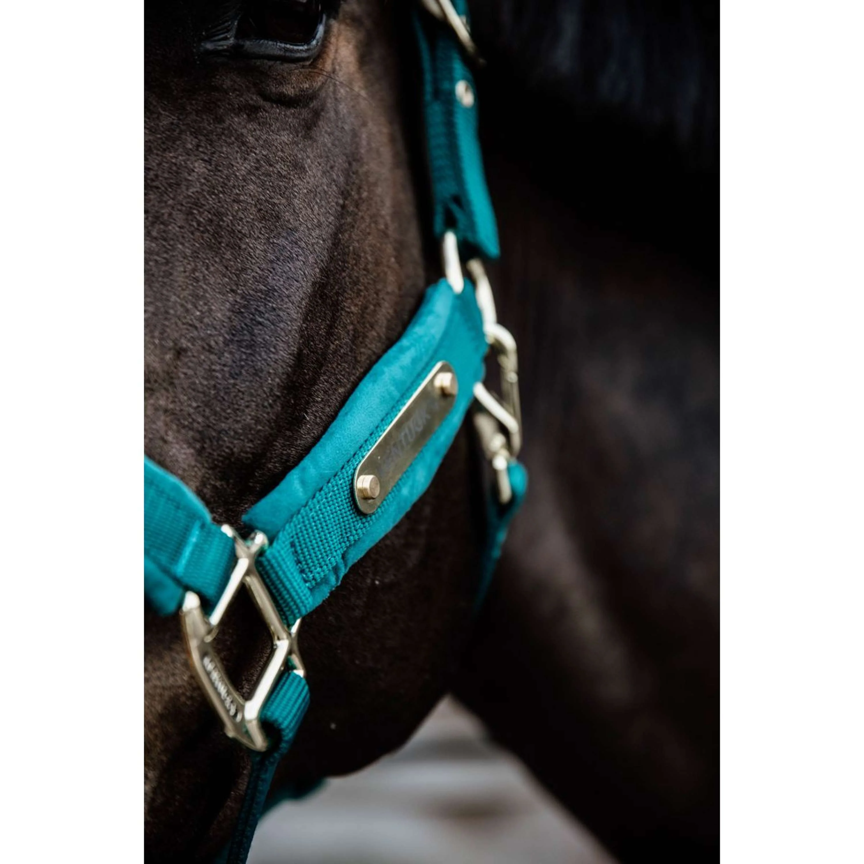 Kentucky Horsewear Cavezza Velvet Smeraldo - Image 5