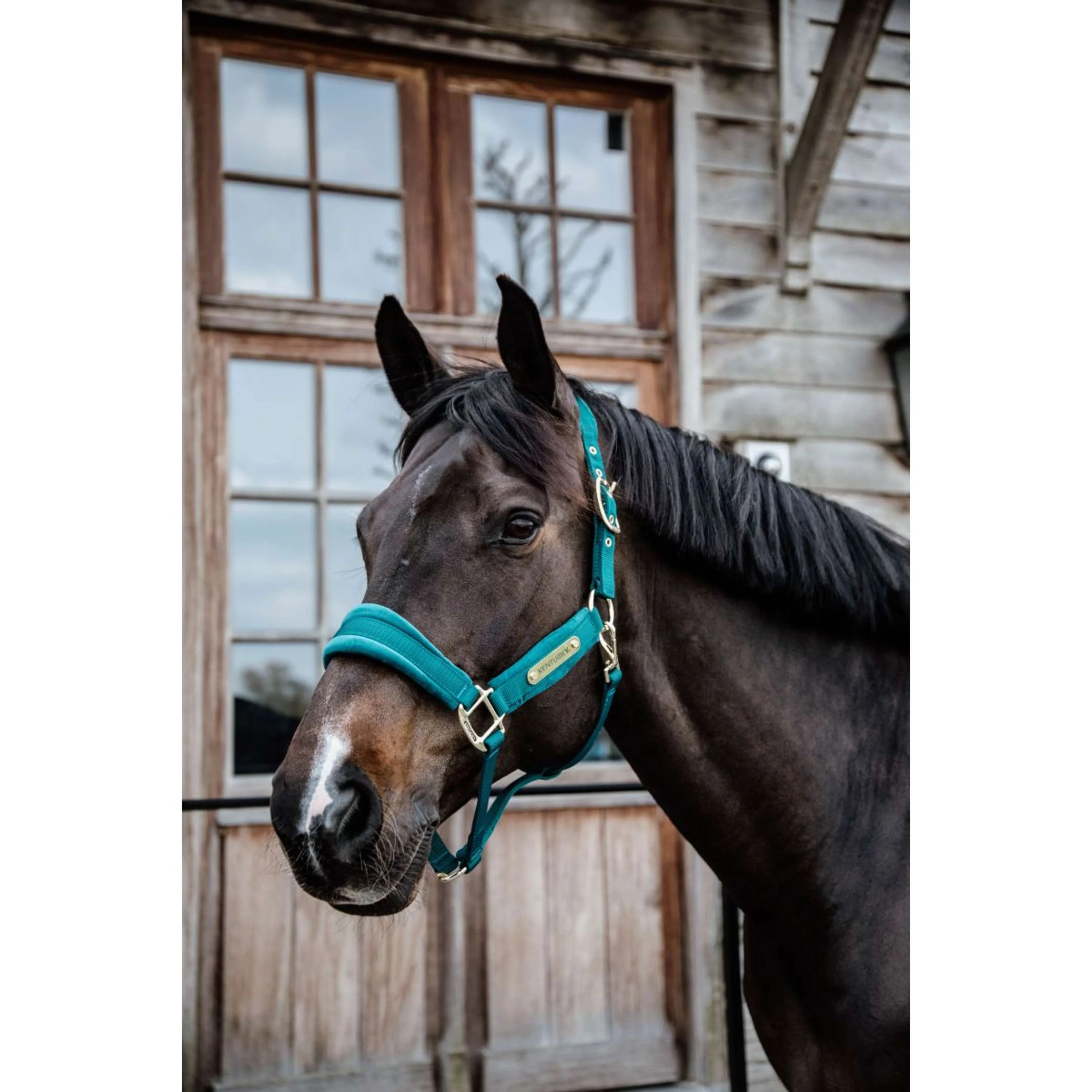 Kentucky Horsewear Cavezza Velvet Smeraldo - Image 8