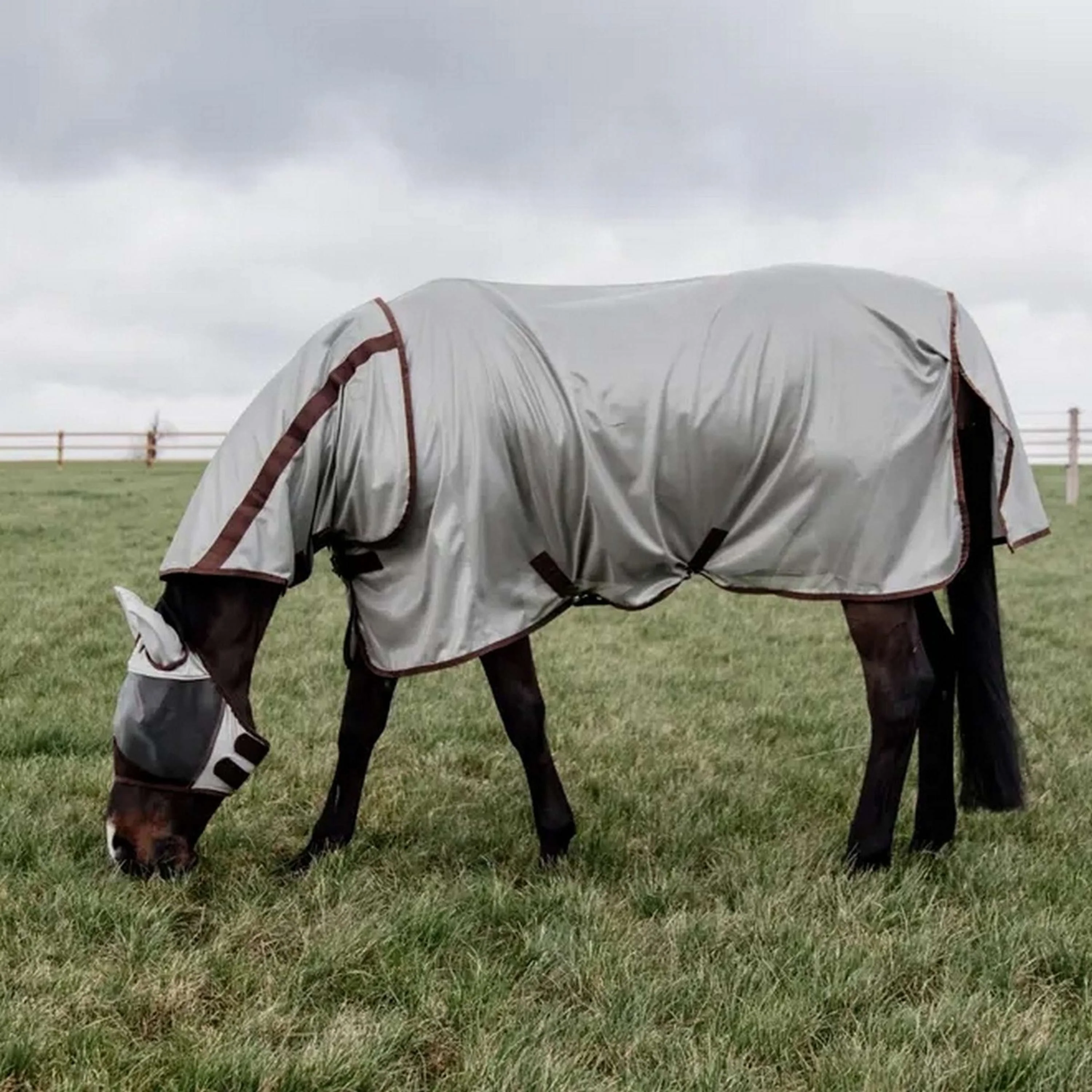 Kentucky Horsewear Coperta Antimosche Classic Argento