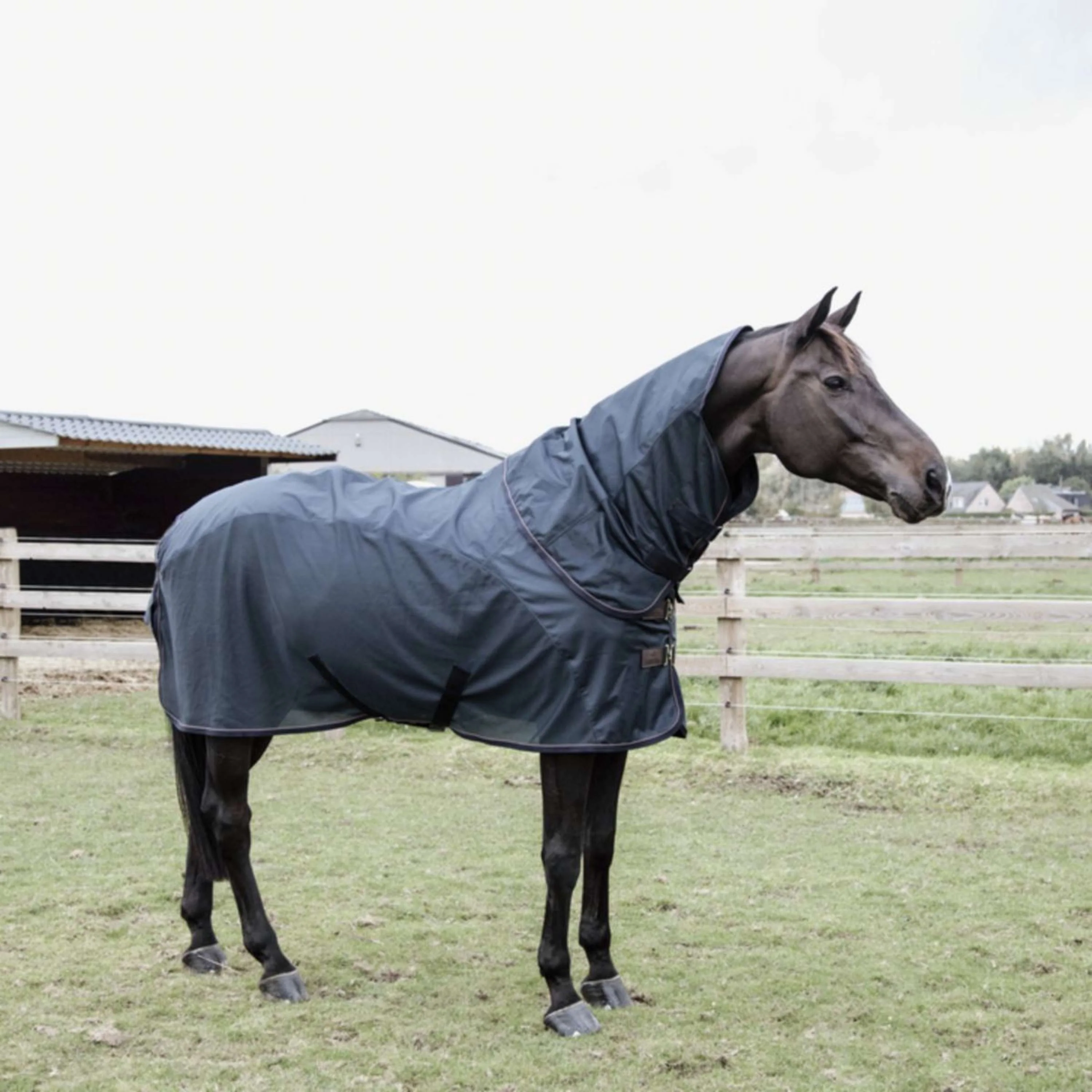 Kentucky Horsewear Coperta Antimosche Combo Classic 0g Navy