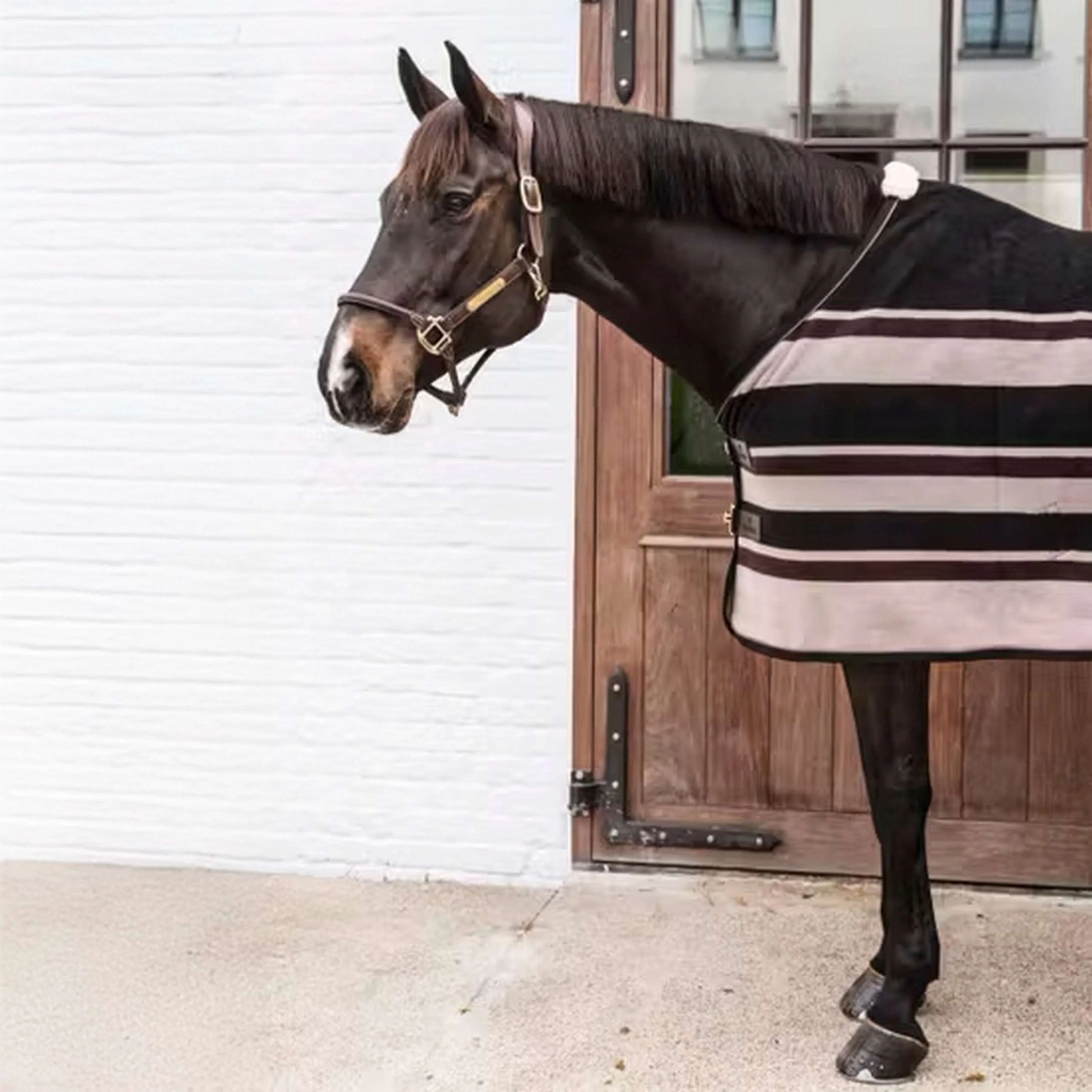 Kentucky Horsewear Coperta antisudore Heavy Marrone/Beige - Image 2