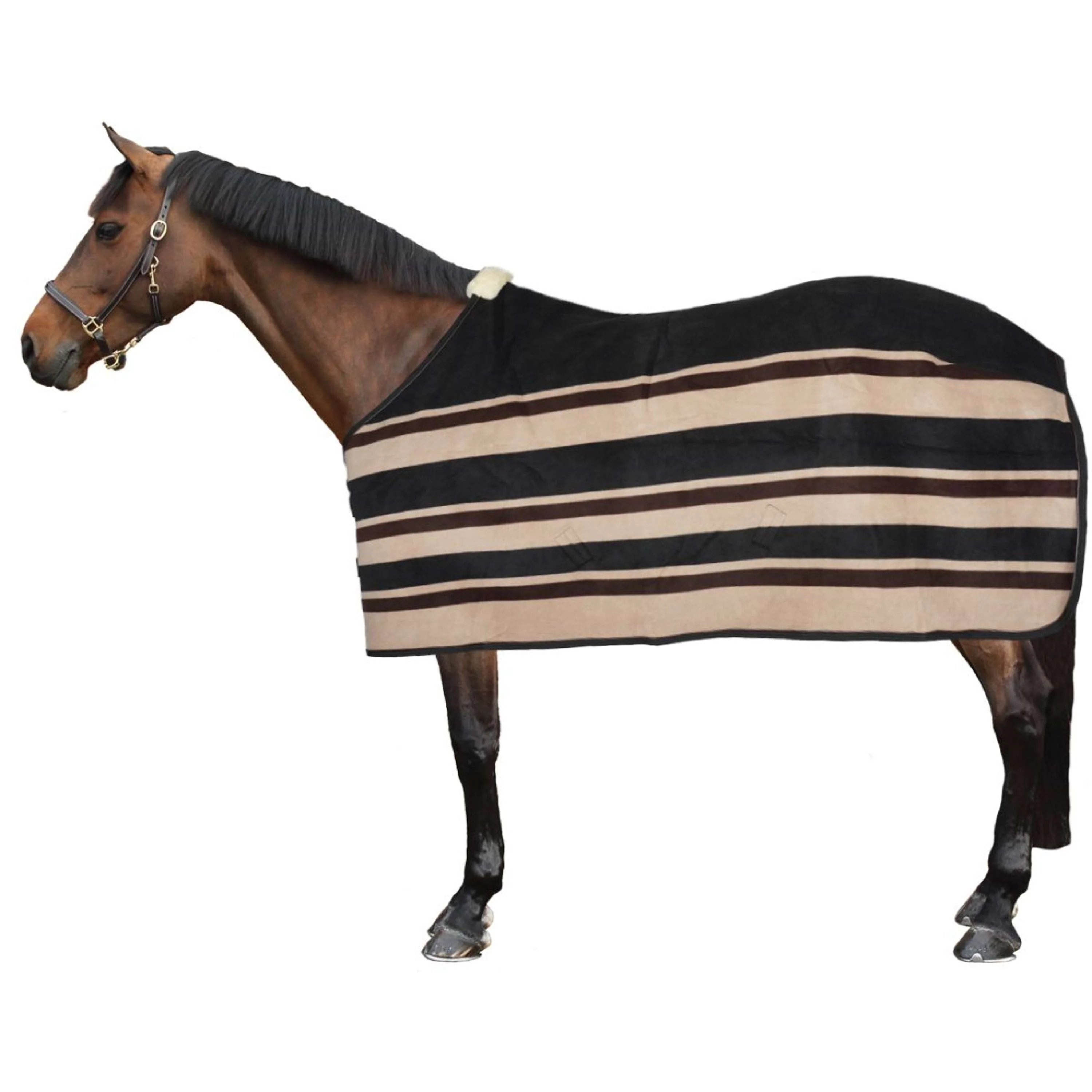 Kentucky Horsewear Coperta antisudore Heavy Marrone/Beige - Image 5